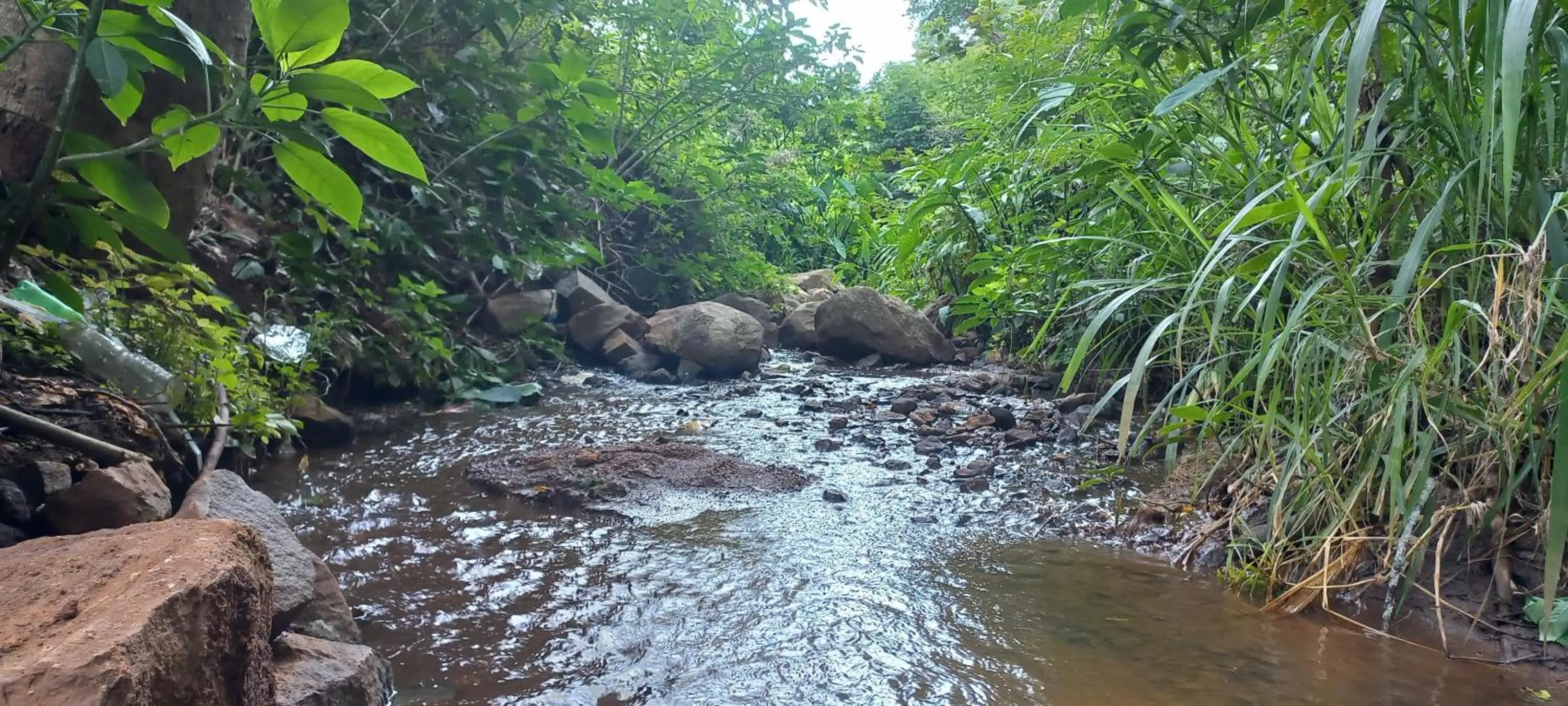 Natural landscape in iSTAYS - Loop Road, Yercaud