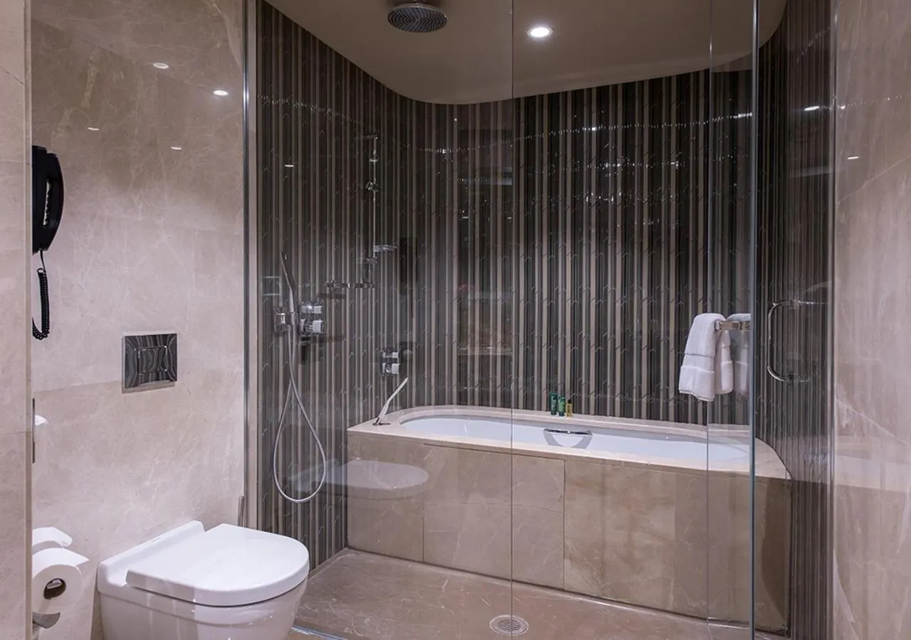 Toilet in Hilton Istanbul Kozyatagi