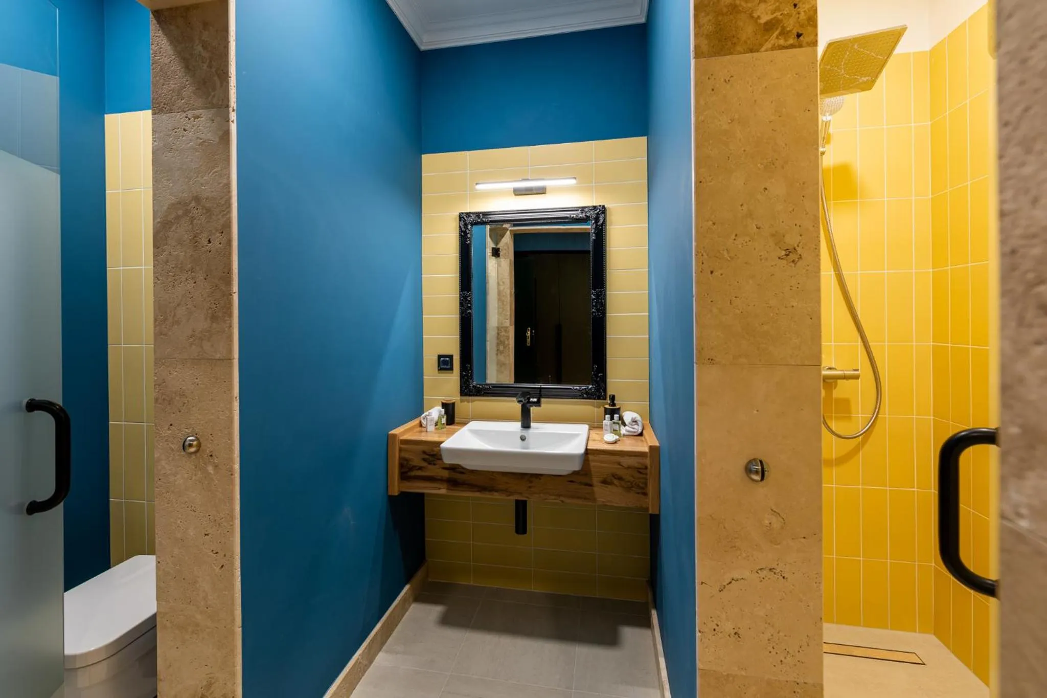 Shower in Boutique Hotel Cocosul de Aur