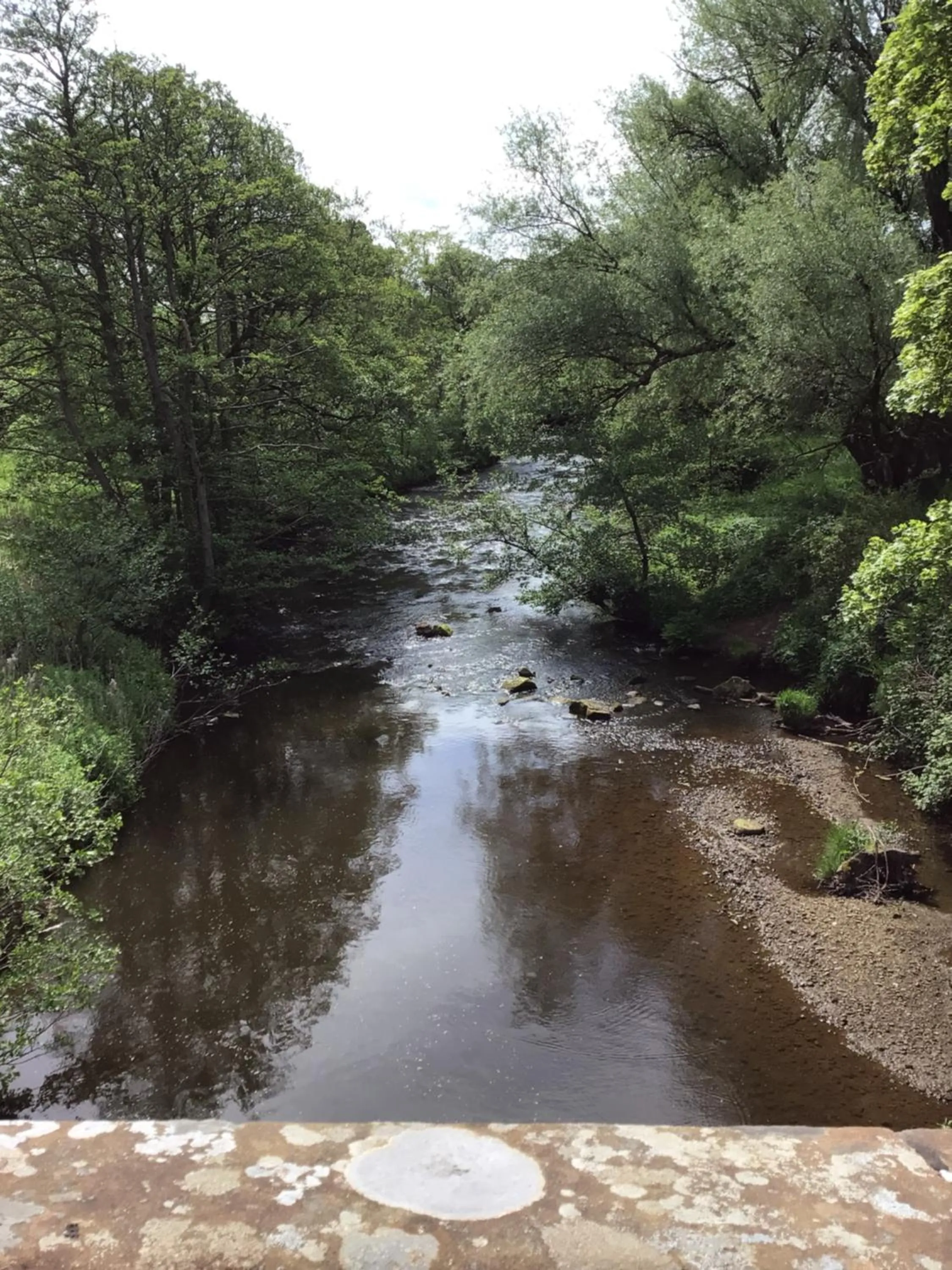 The Board Inn - Lealholm