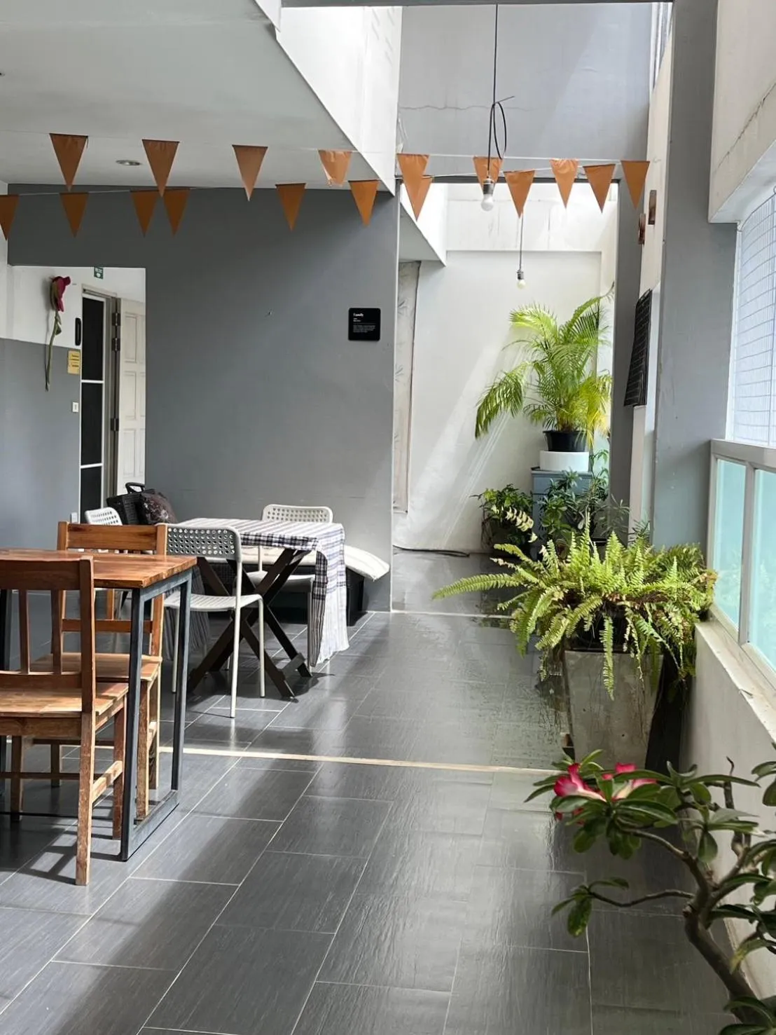 Balcony/Terrace in White Monkey Guesthouse