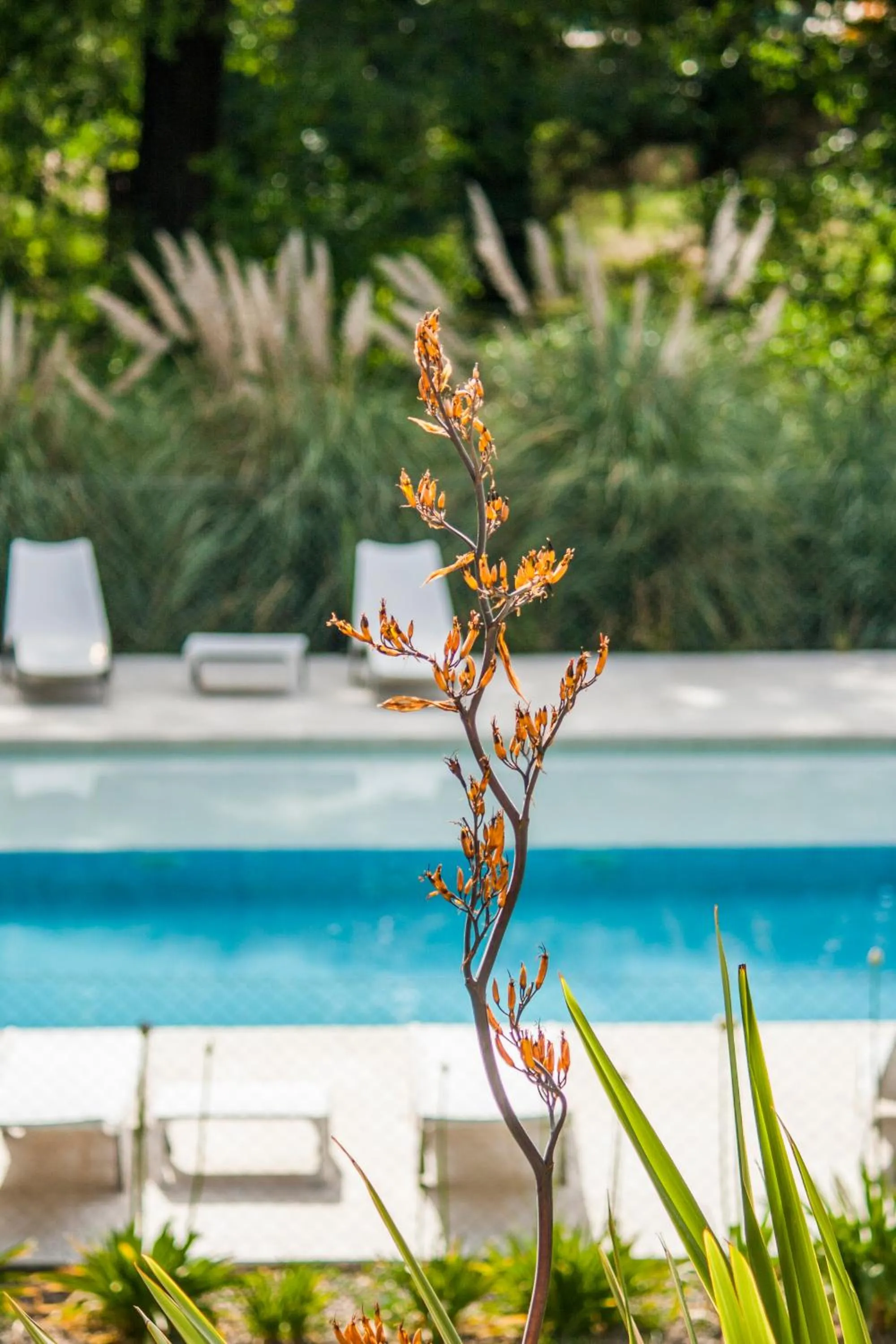 Swimming pool in Atelier Hotel de Charme