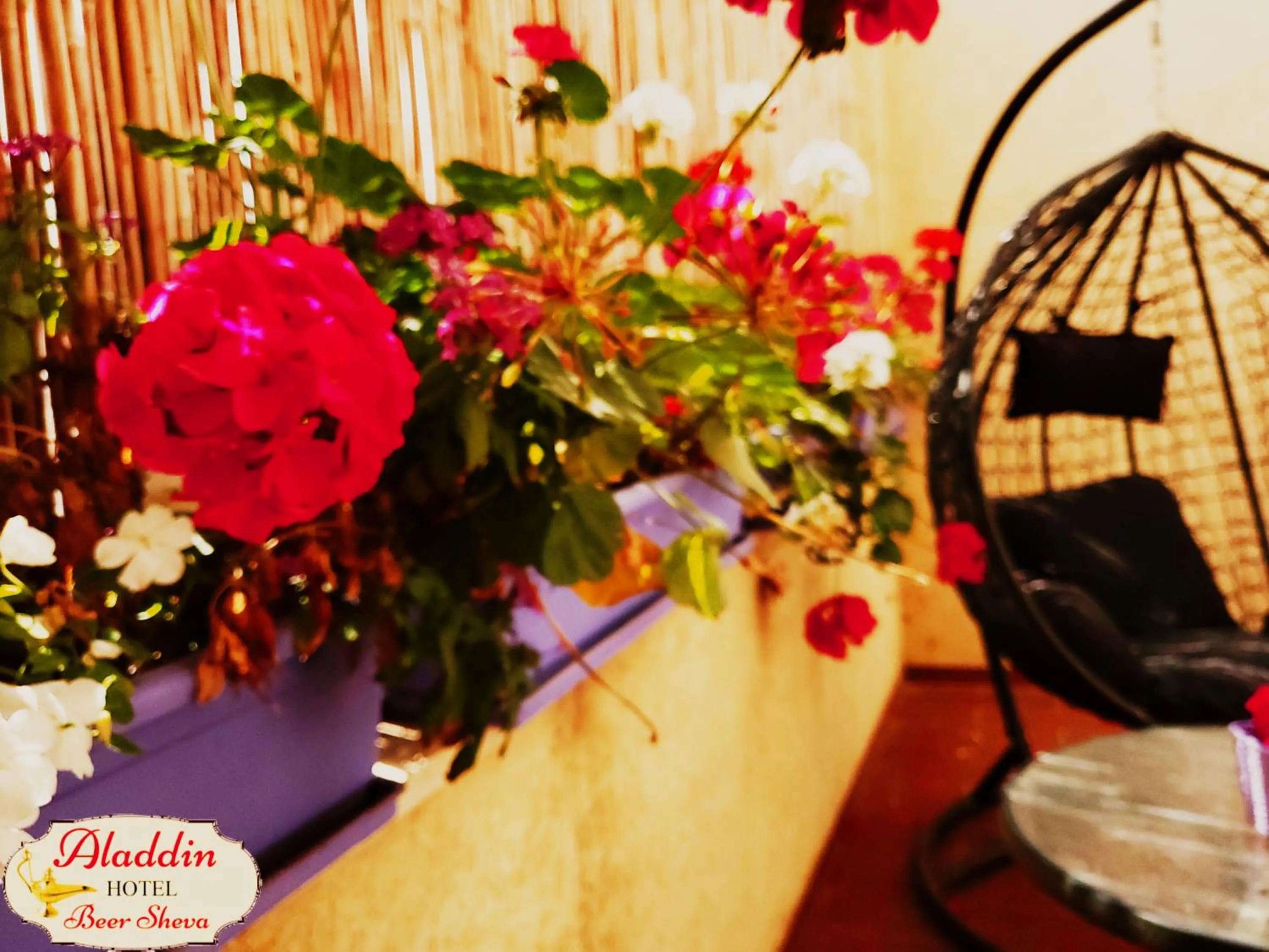 Aladdin Hotel Beer Sheva