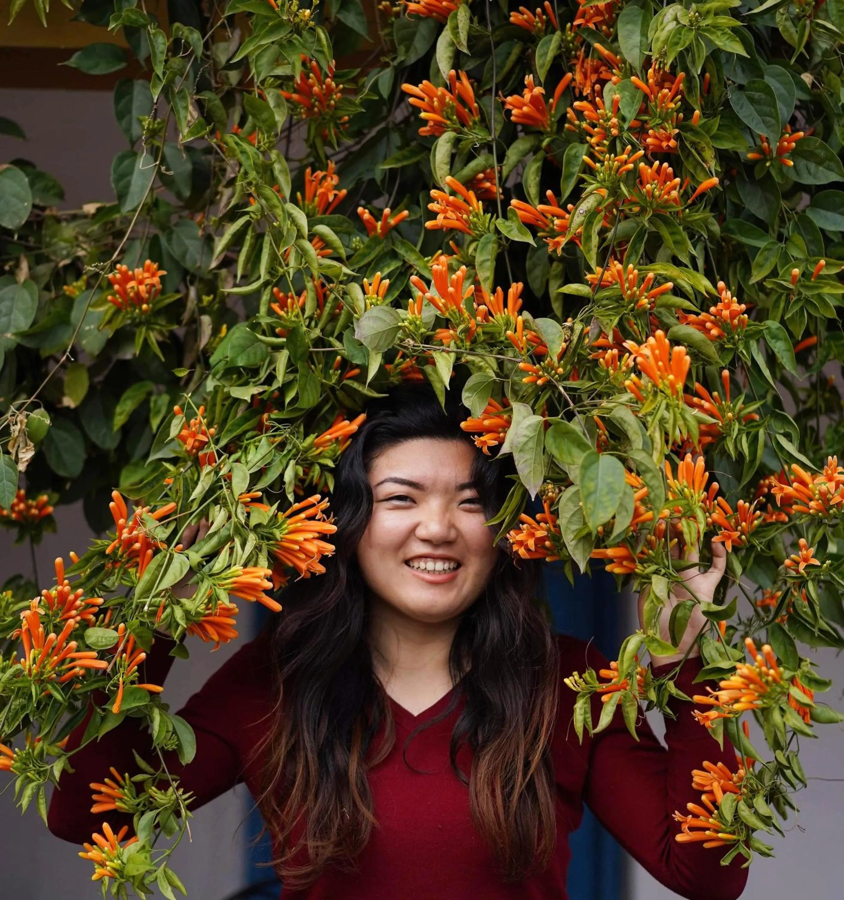 People in Hotel Mountain View - Lakeside Pokhara