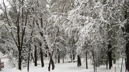 New Luxury 5BR Cabin in Pine Mountain Lake! 1 Minute to Beach! Massage Chair! Close to Yosemite! Perfect for Retreats and Escapes All Seasons!