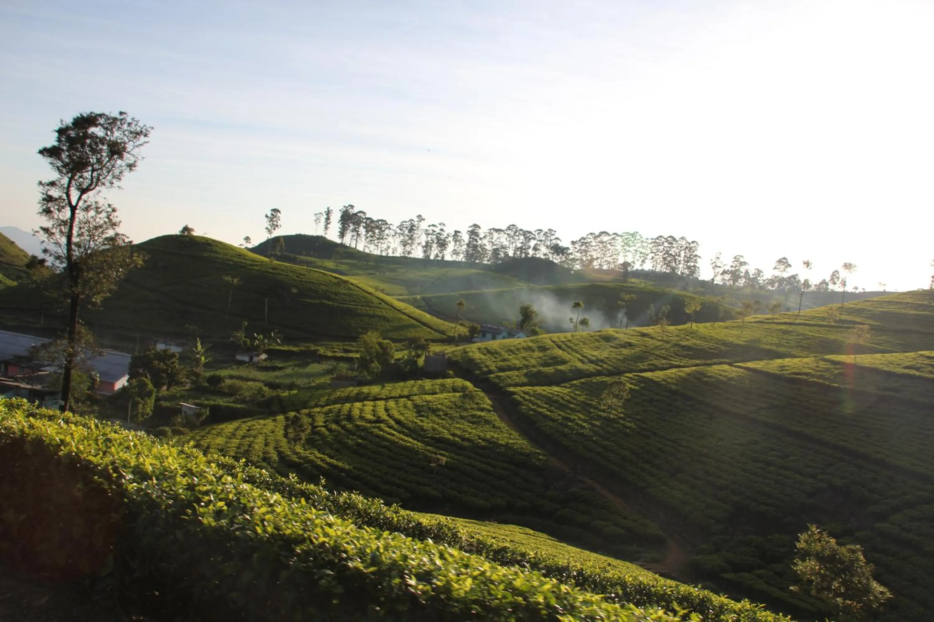 Neighbourhood in White Home