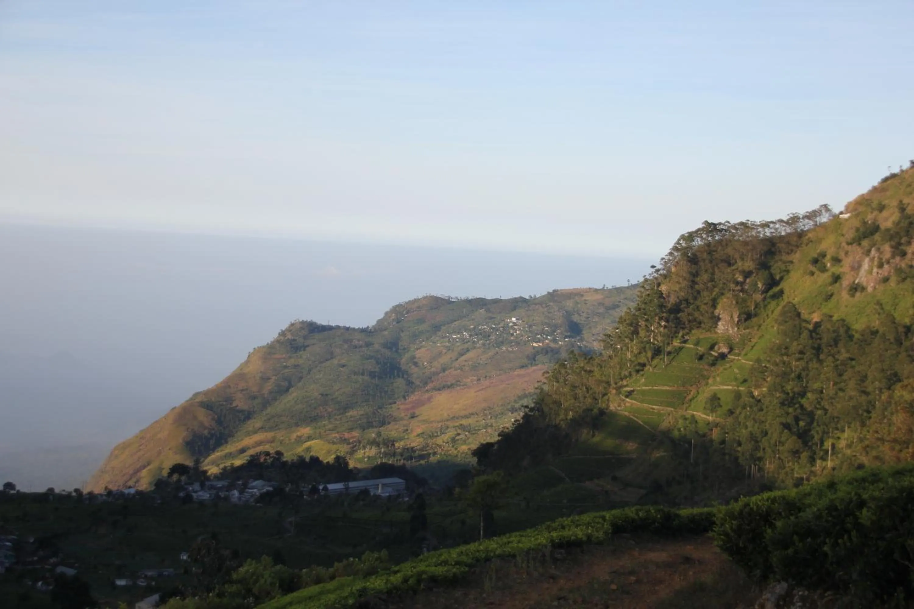Hiking in White Home