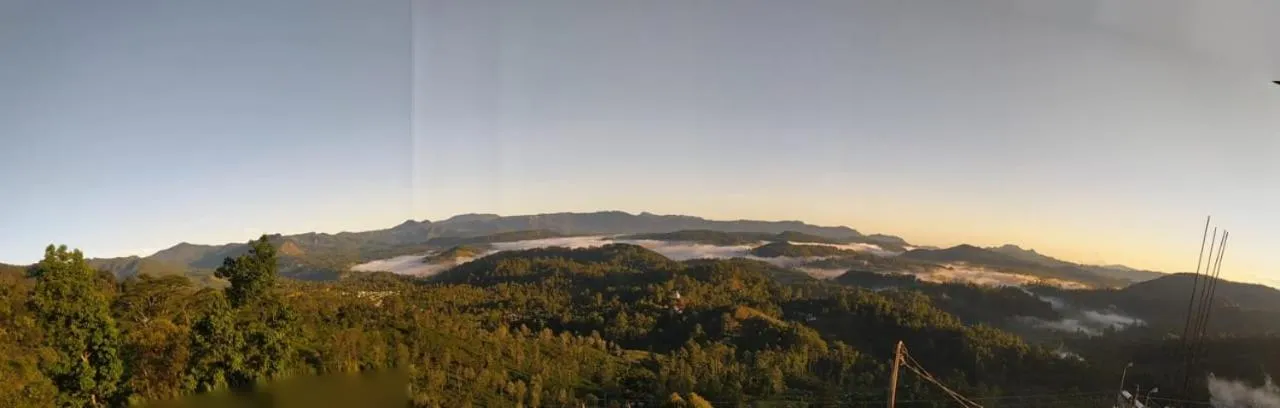 View (from property/room) in White Home