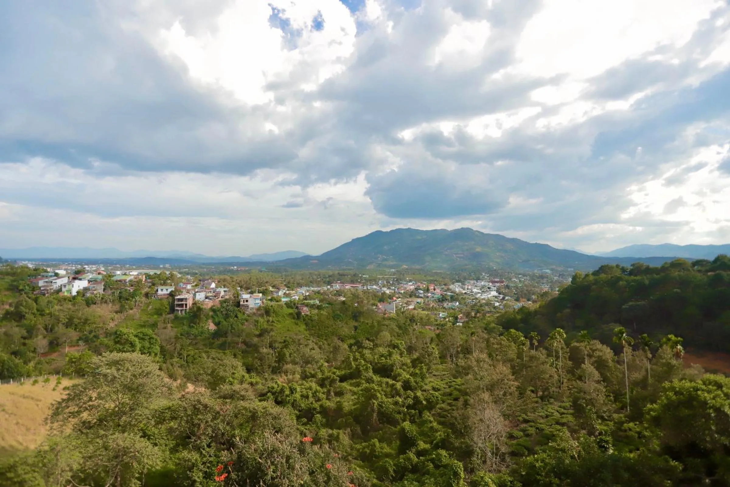 Natural landscape in Lien Do Star Hotel