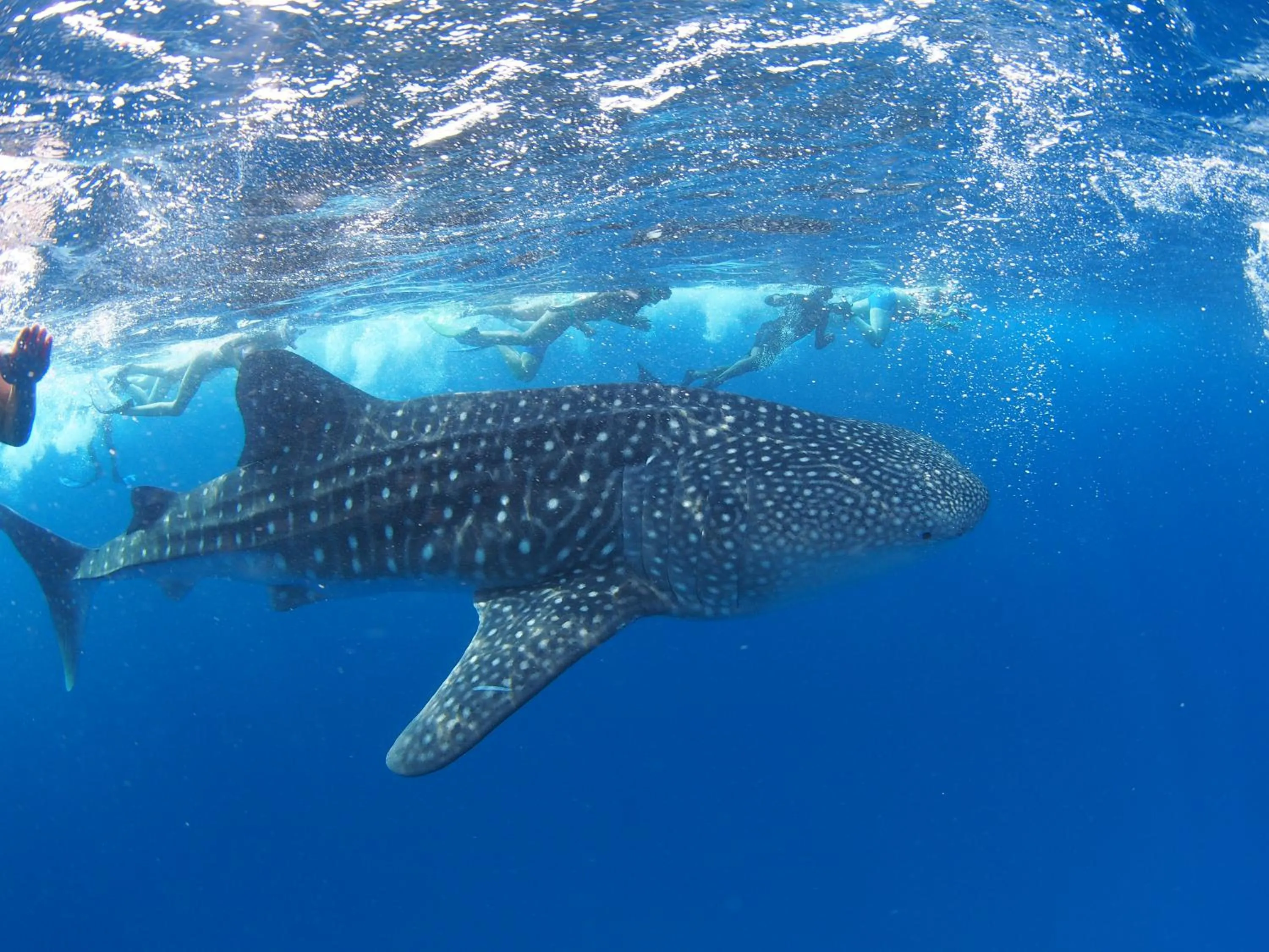Sunrise by white sand dhigurah