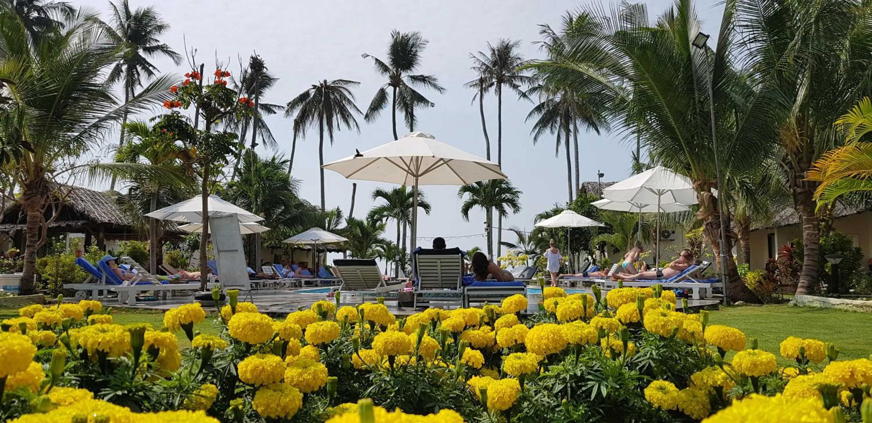 Patio in Sun & Sands Beach Hotel
