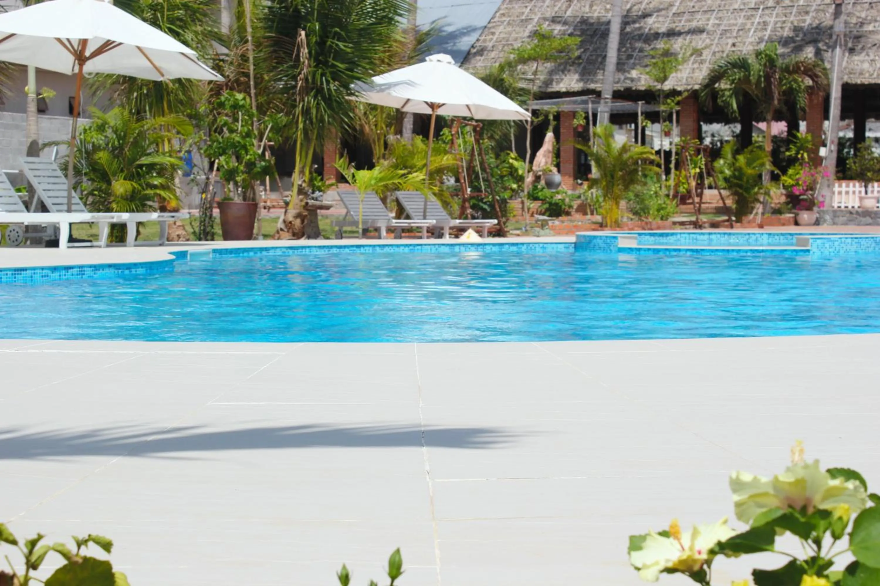 Swimming pool in Sun & Sands Beach Hotel