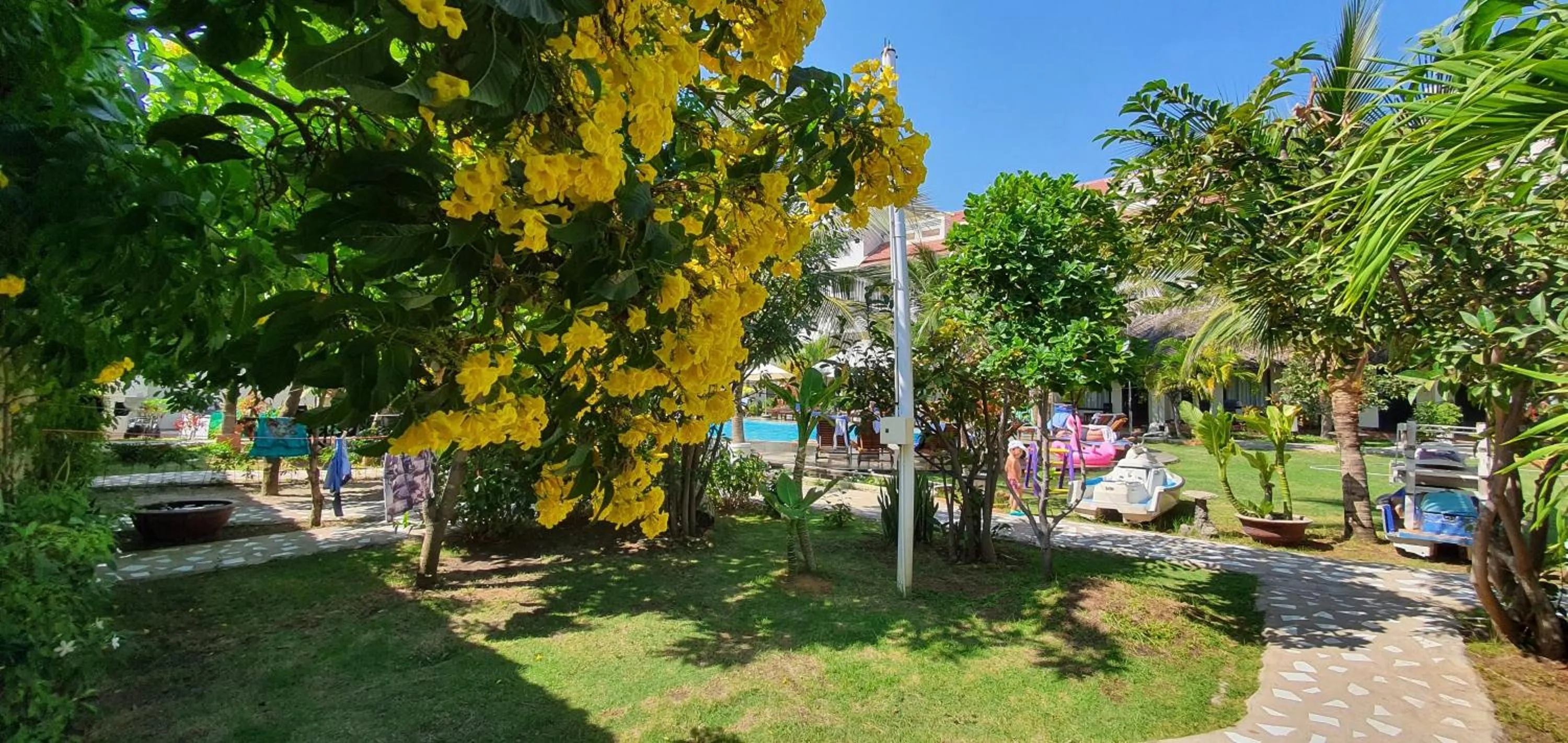 Garden in Sun & Sands Beach Hotel