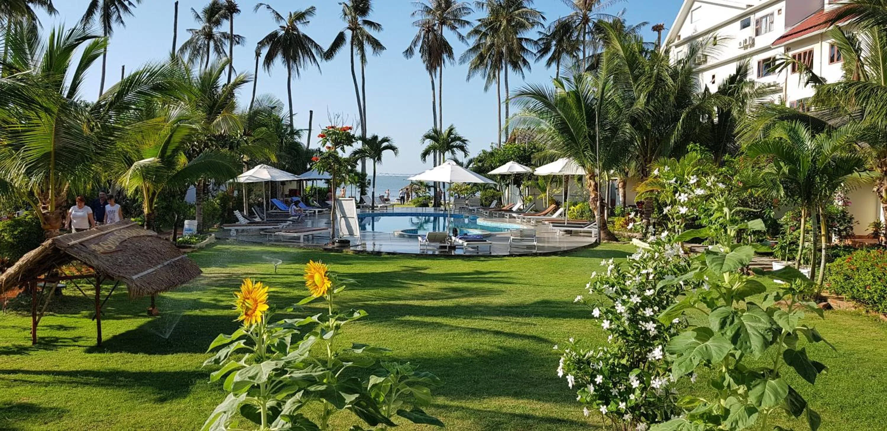 Swimming pool in Sun & Sands Beach Hotel