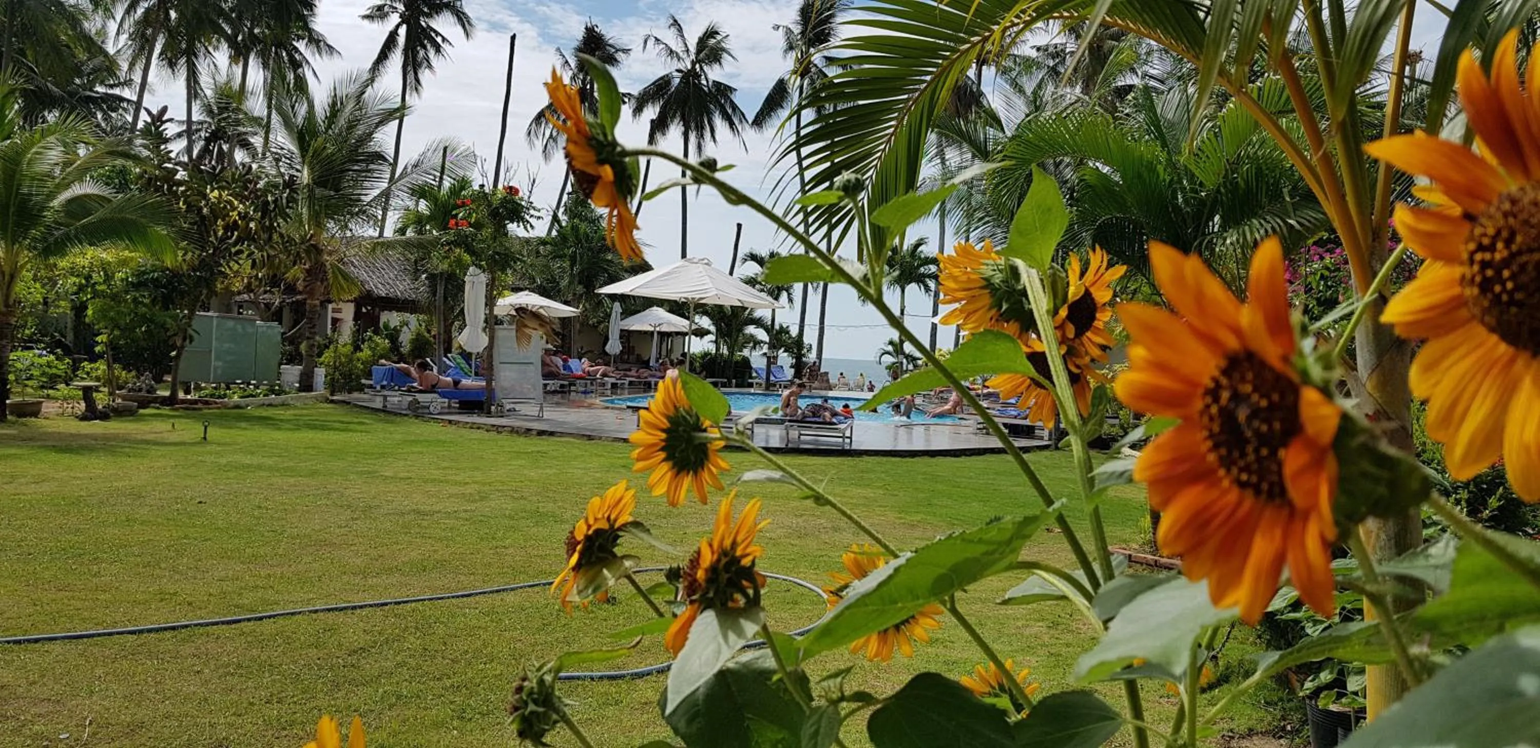 Garden in Sun & Sands Beach Hotel