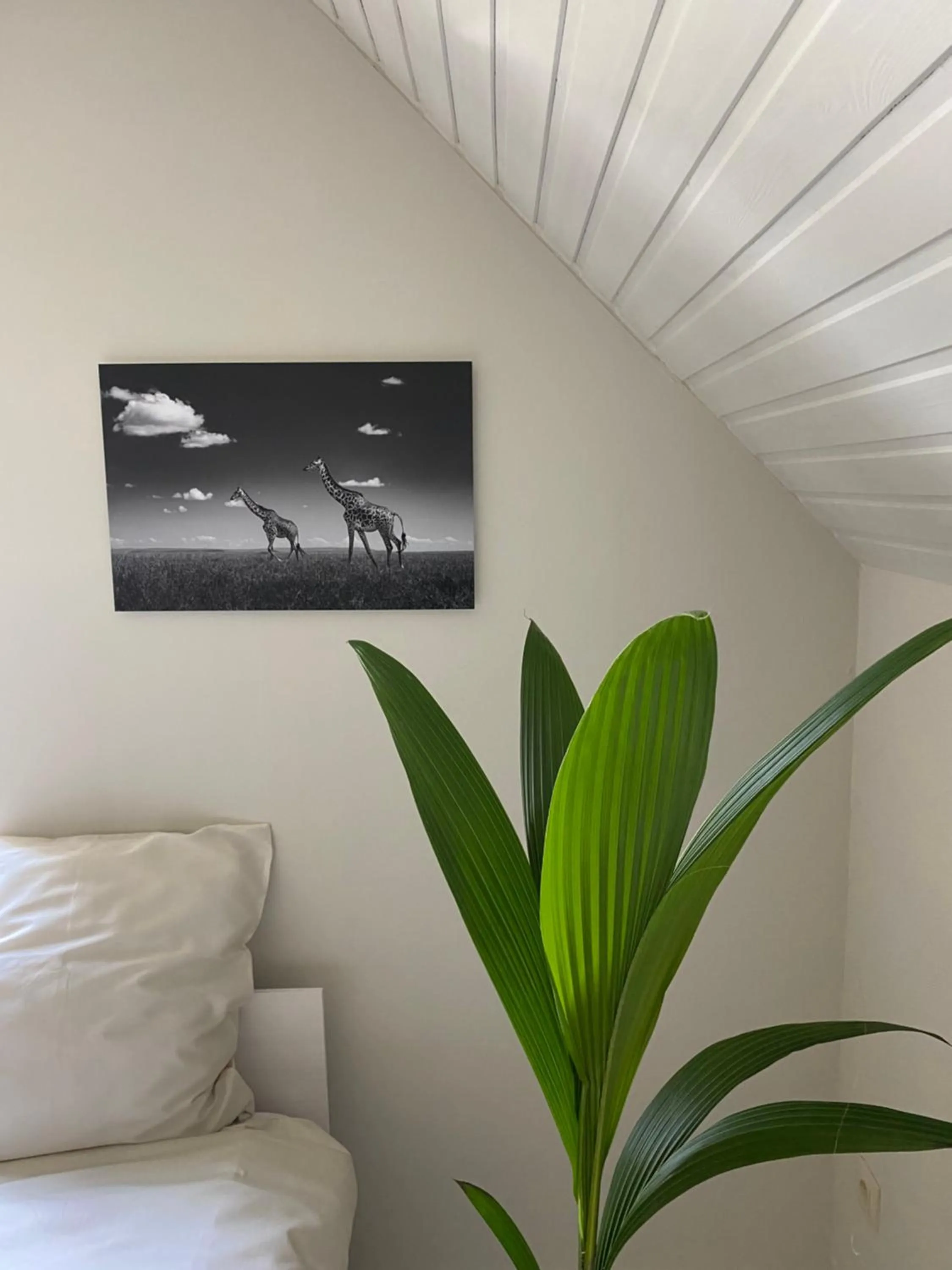 Bed in B&B Maison Blanche