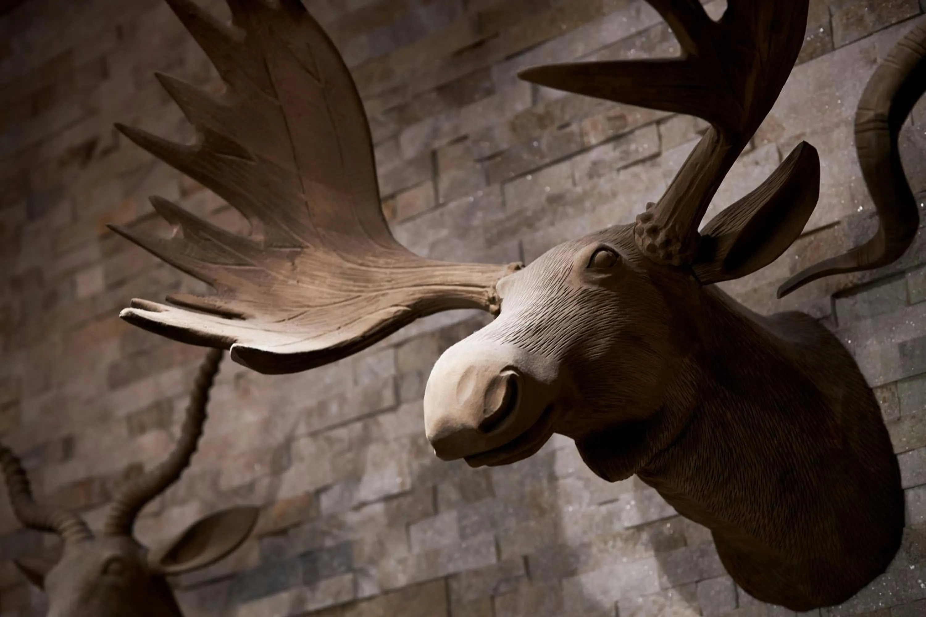 Lobby or reception in Andell Inn