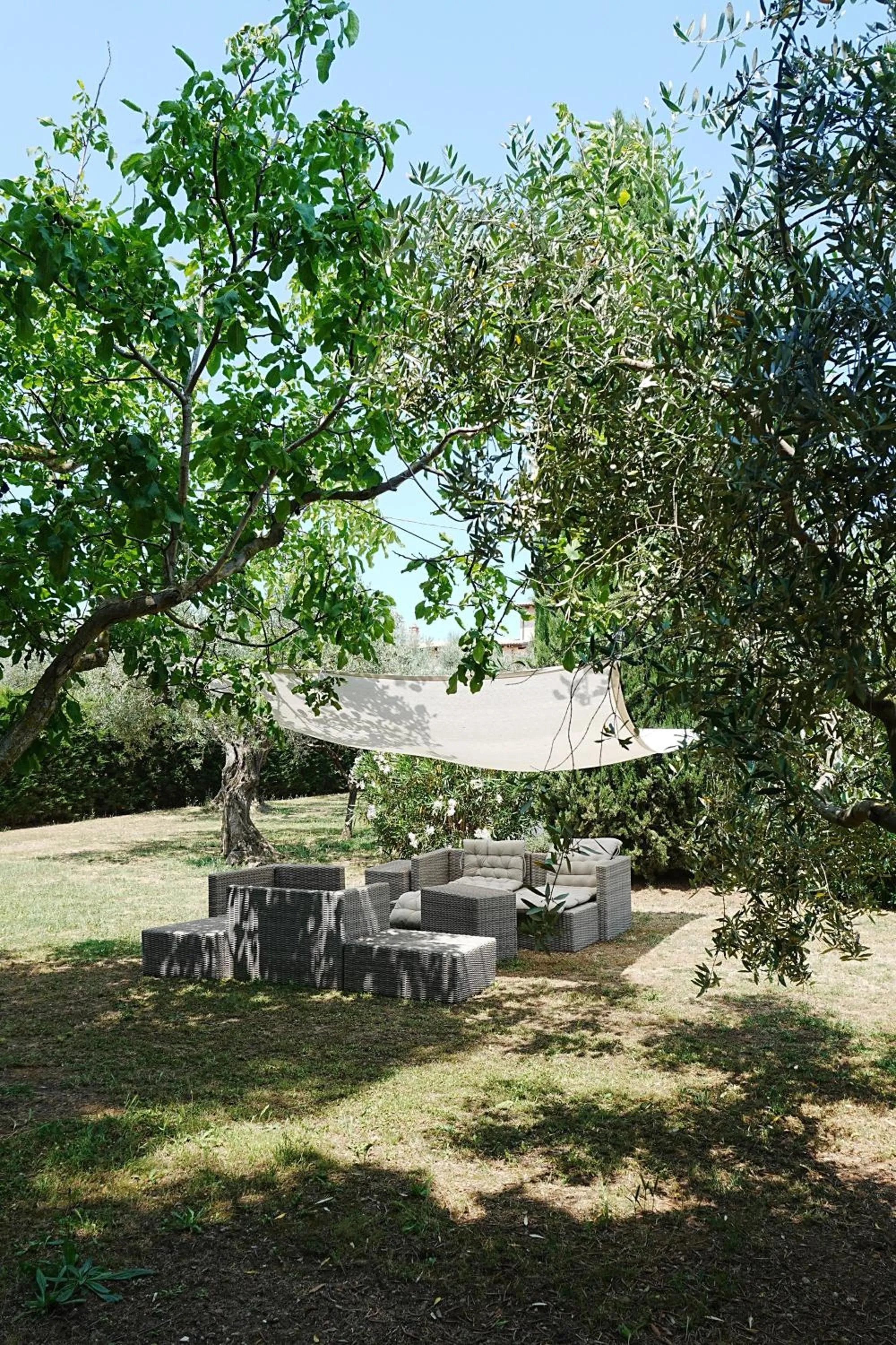 Casale delle Lavande