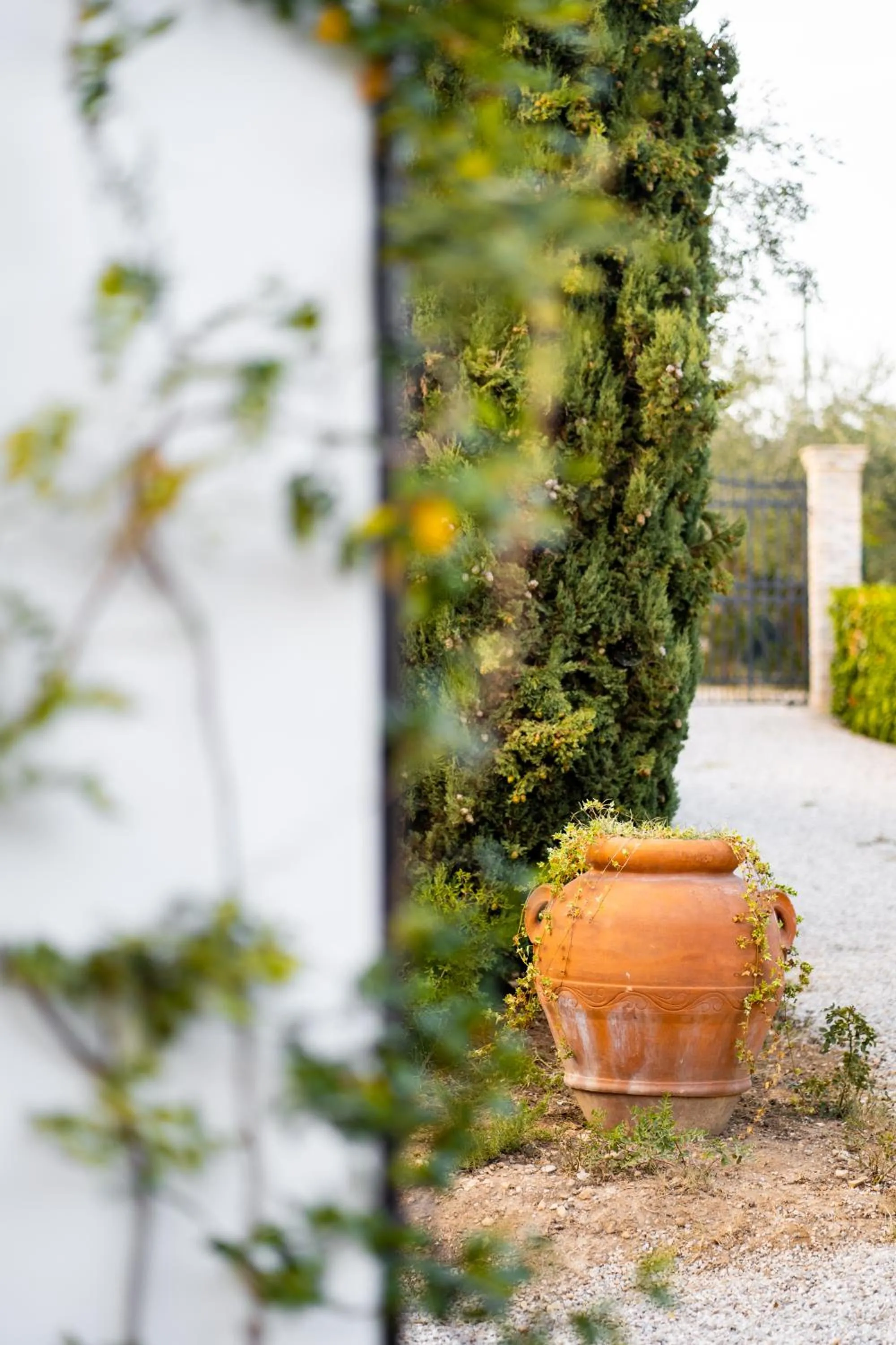 Casale delle Lavande