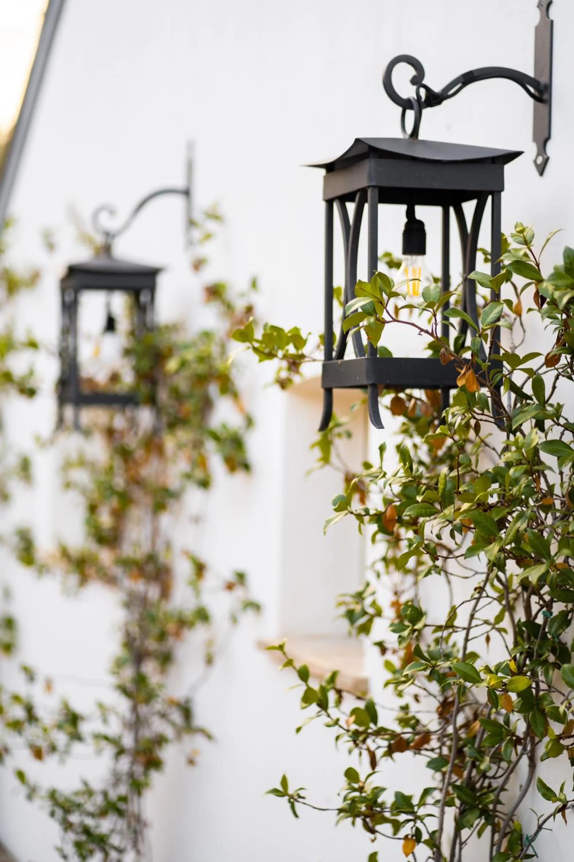 Casale delle Lavande