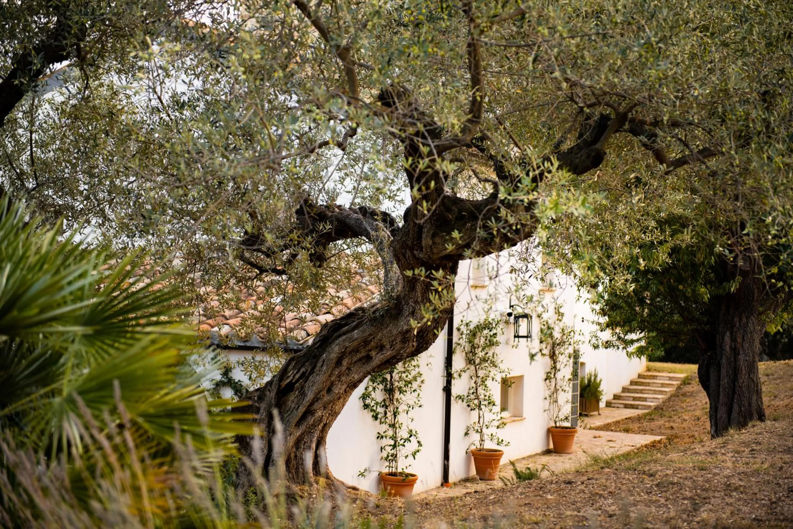 Casale delle Lavande