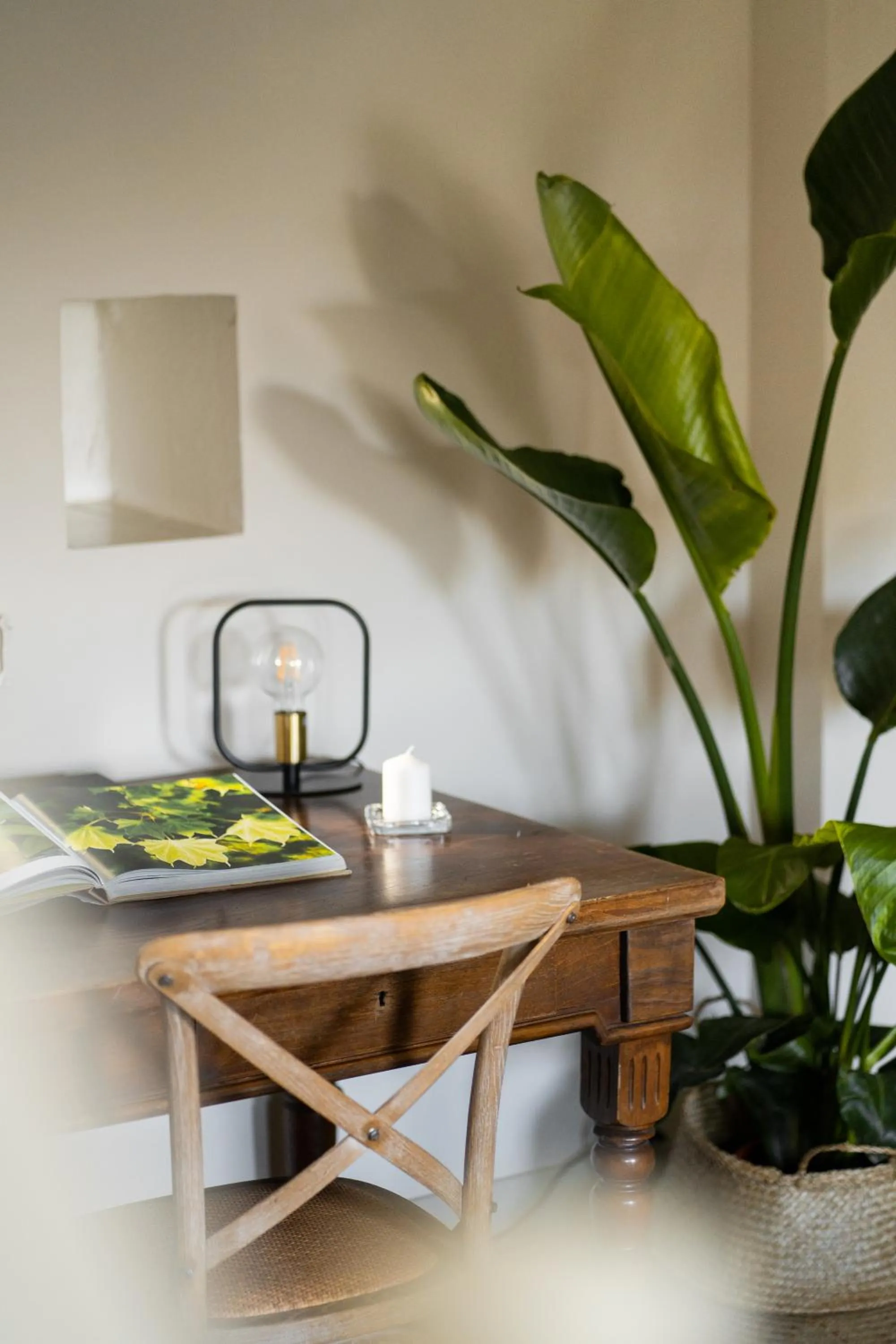 Casale delle Lavande