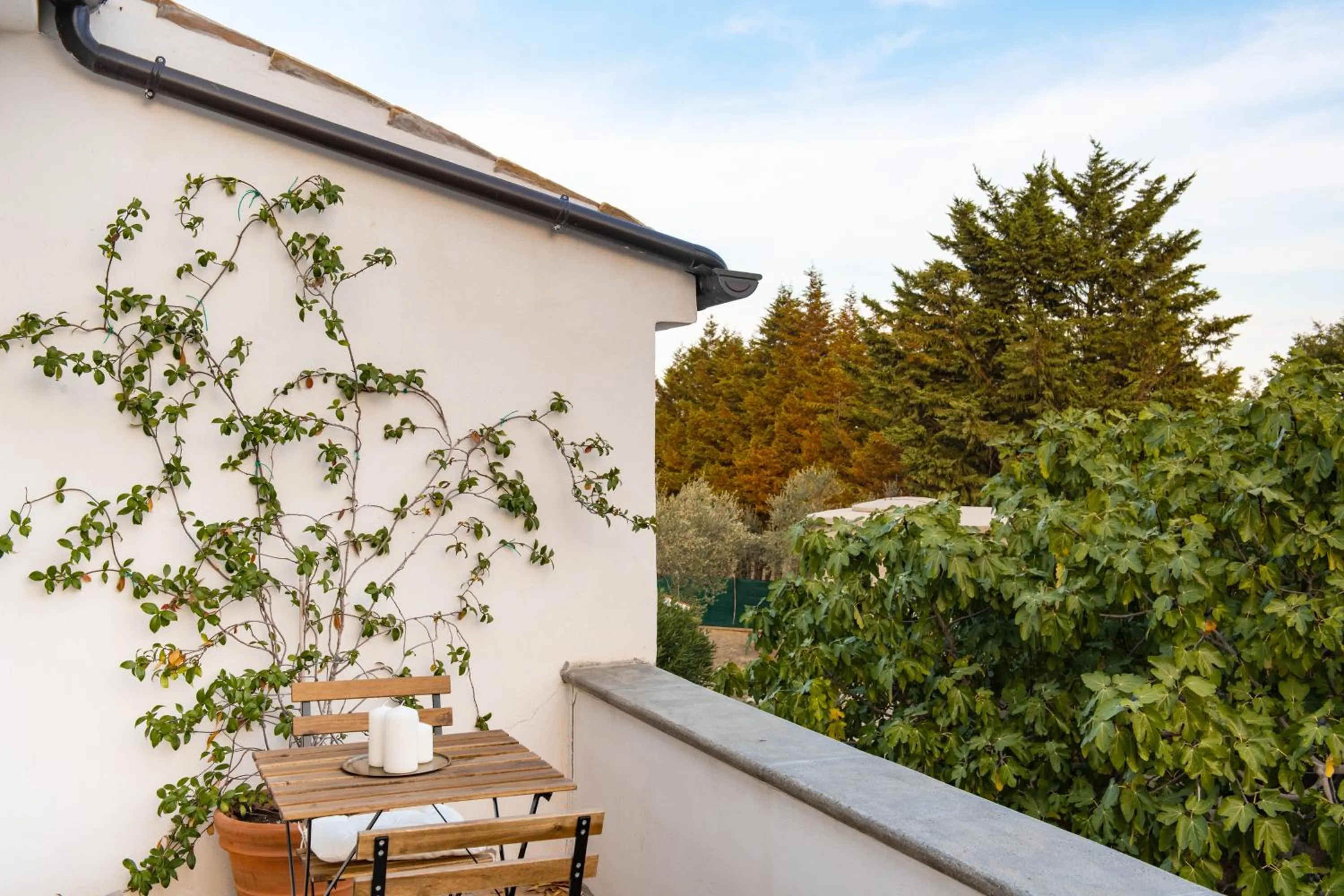 Casale delle Lavande