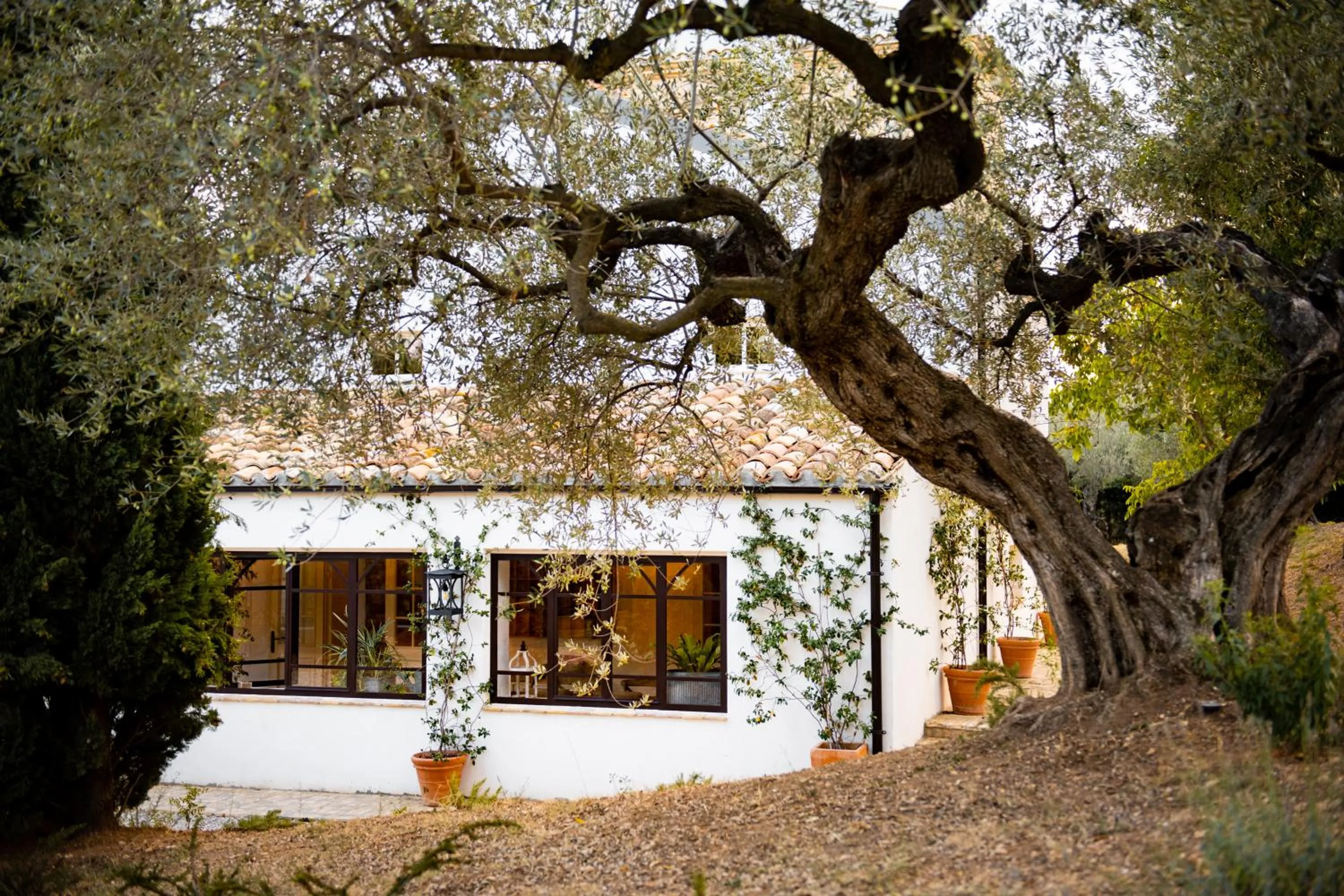 Casale delle Lavande