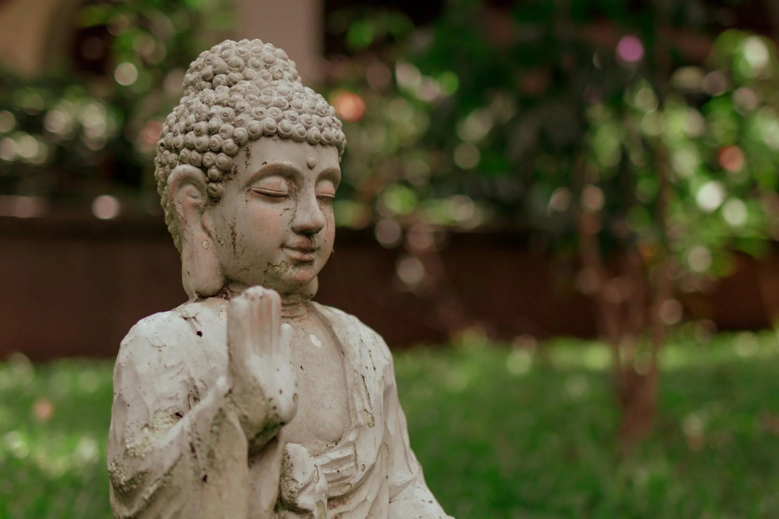 Garden in Brillasol Airport Hotel