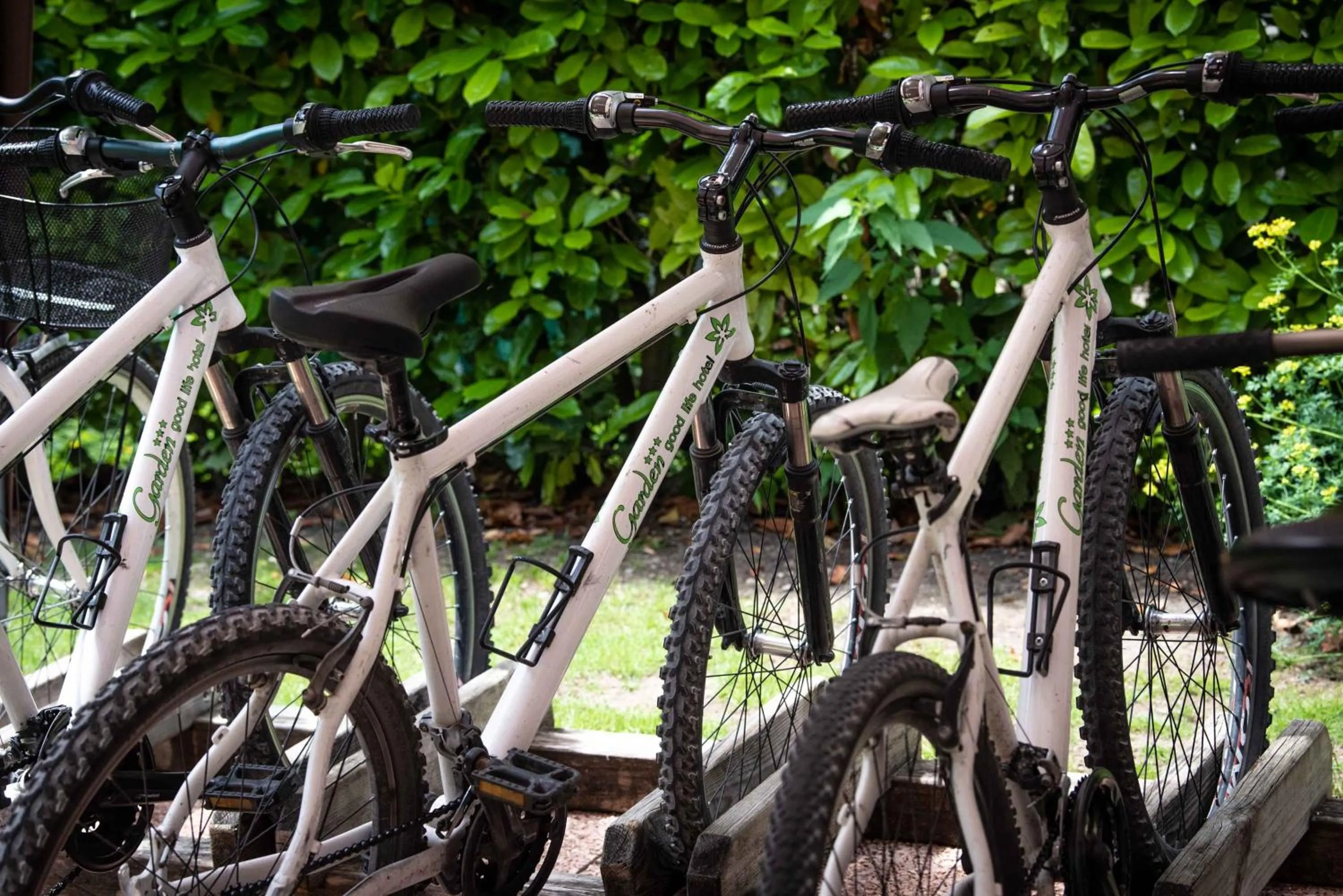 Cycling in Good Life Hotel Garden - Private Spa and Pool