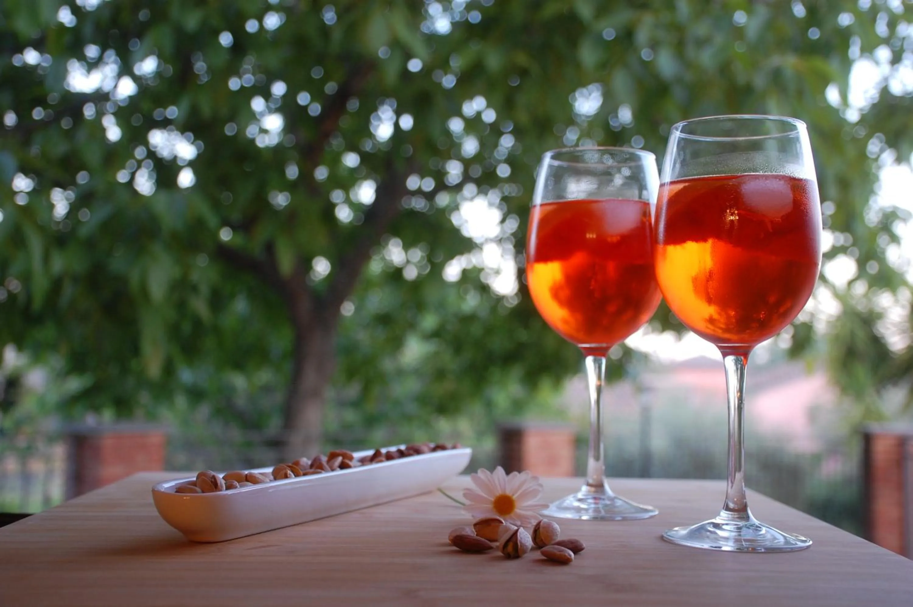 Garden in Casa Farlazzo