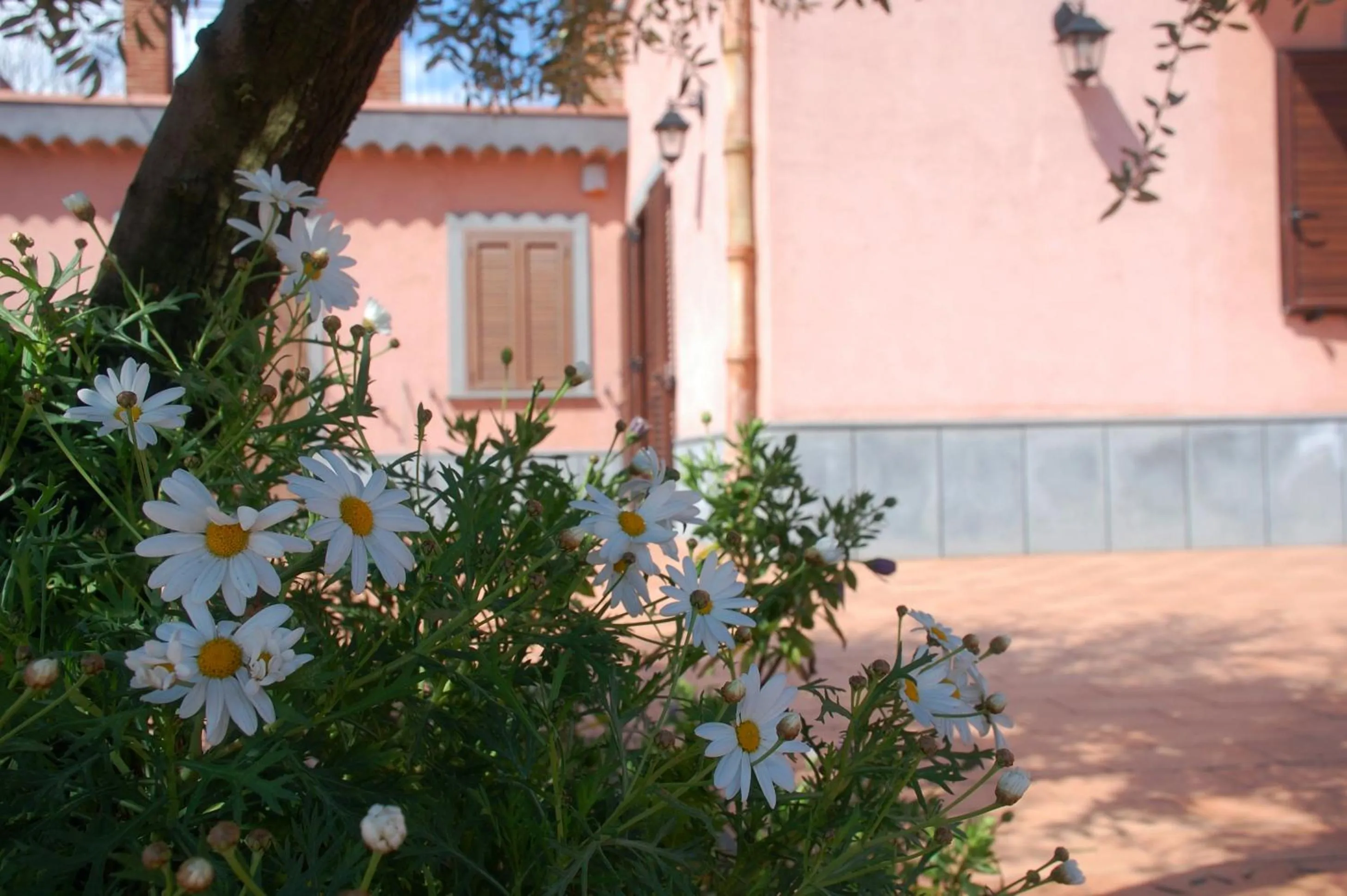 Facade/entrance in Casa Farlazzo
