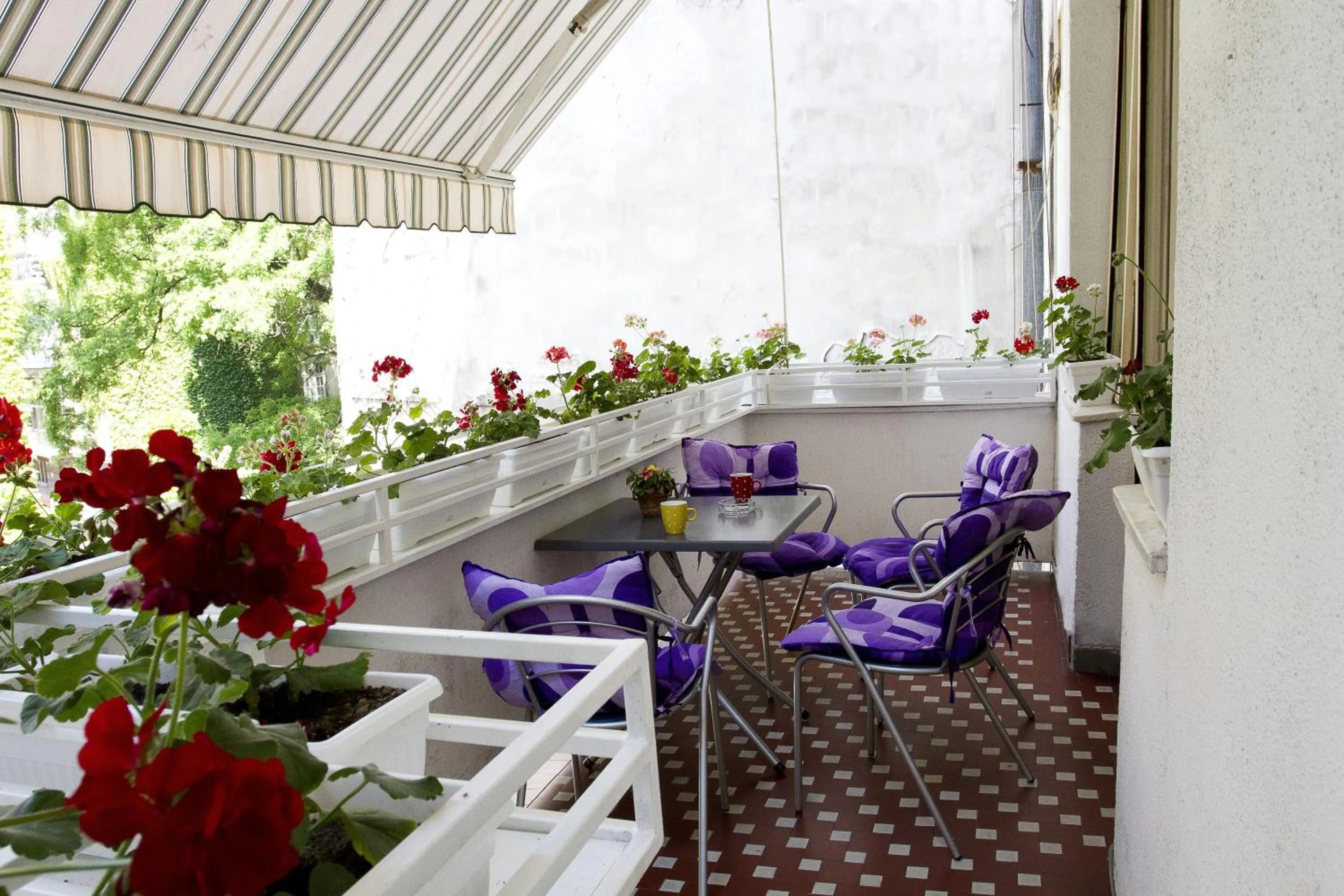 Balcony/Terrace in Hostel Beogradjanka