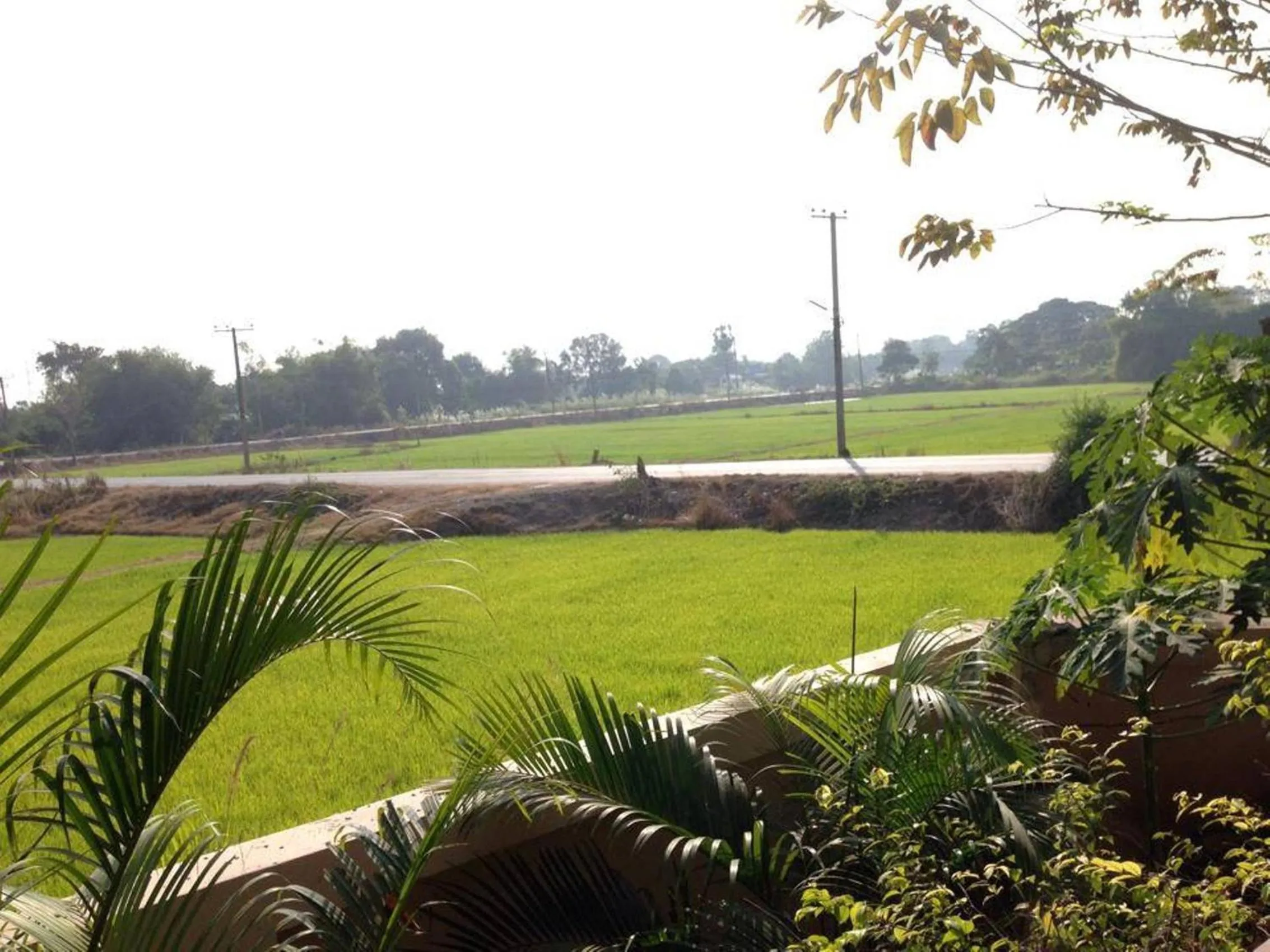 Area and facilities in Sweet Inn Resort