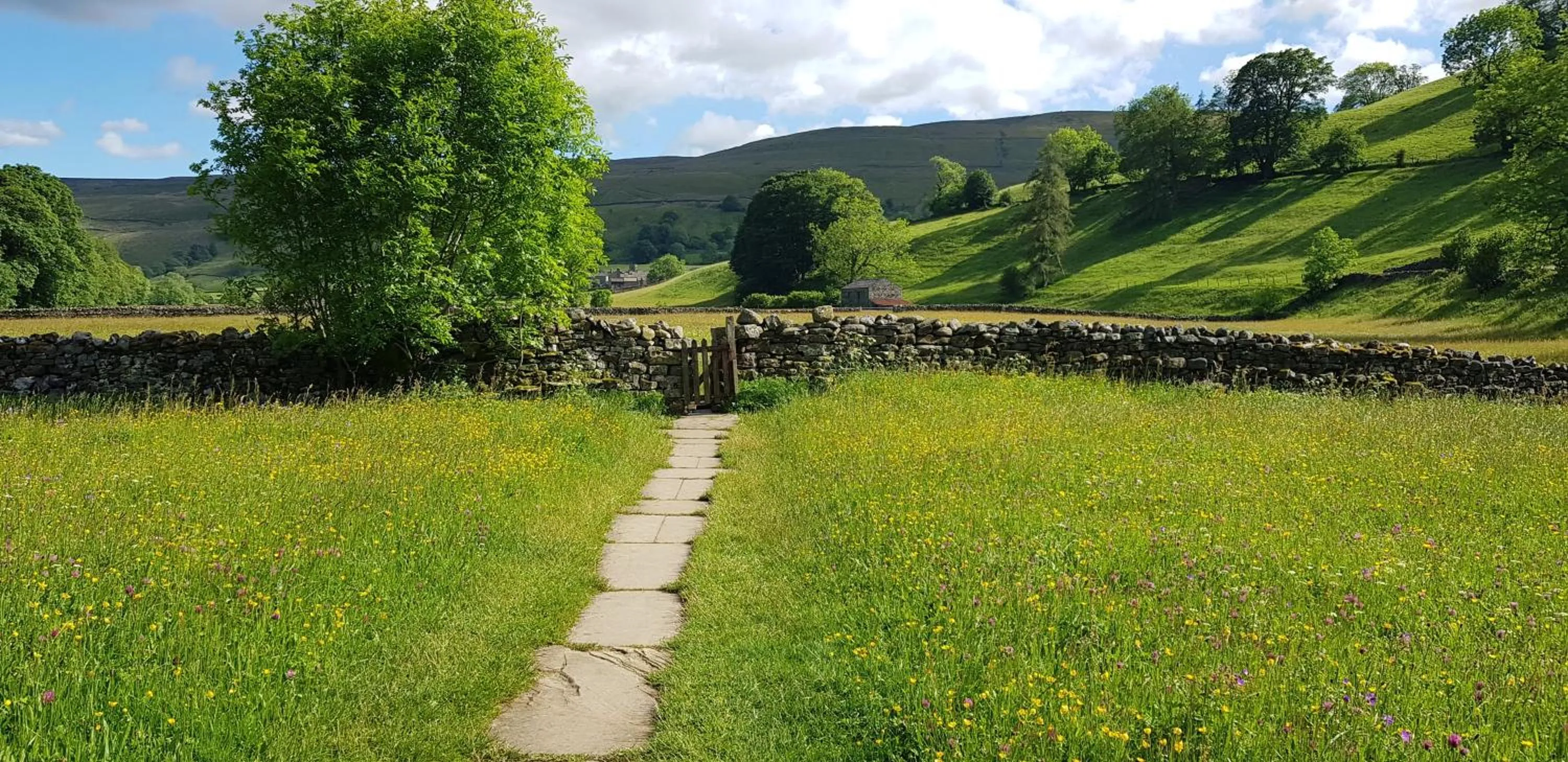 Natural landscape in Rock View, Wensleydale