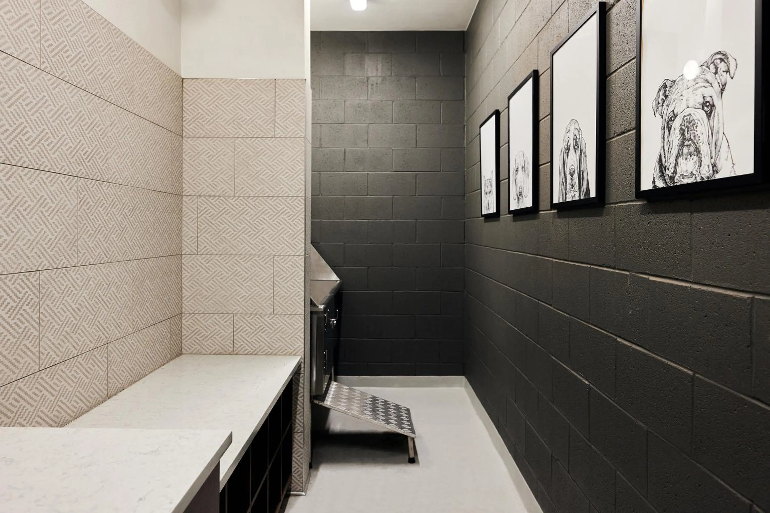 Pets in Sentral Old Town