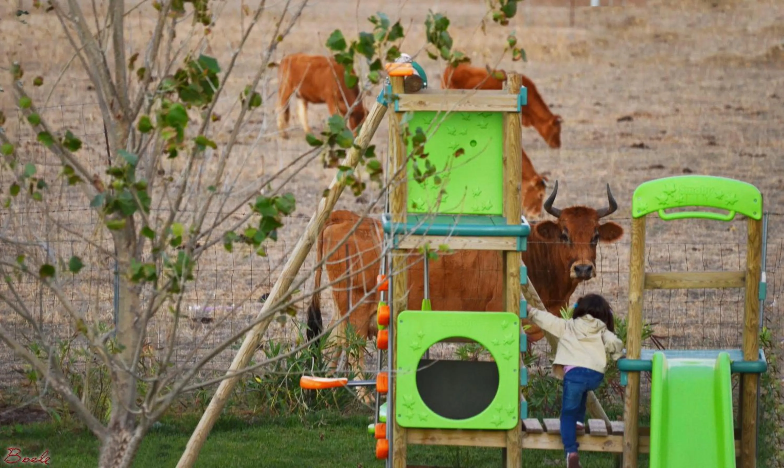 Children play ground in Albergo Ristorante Pizzeria Monte Arcosu