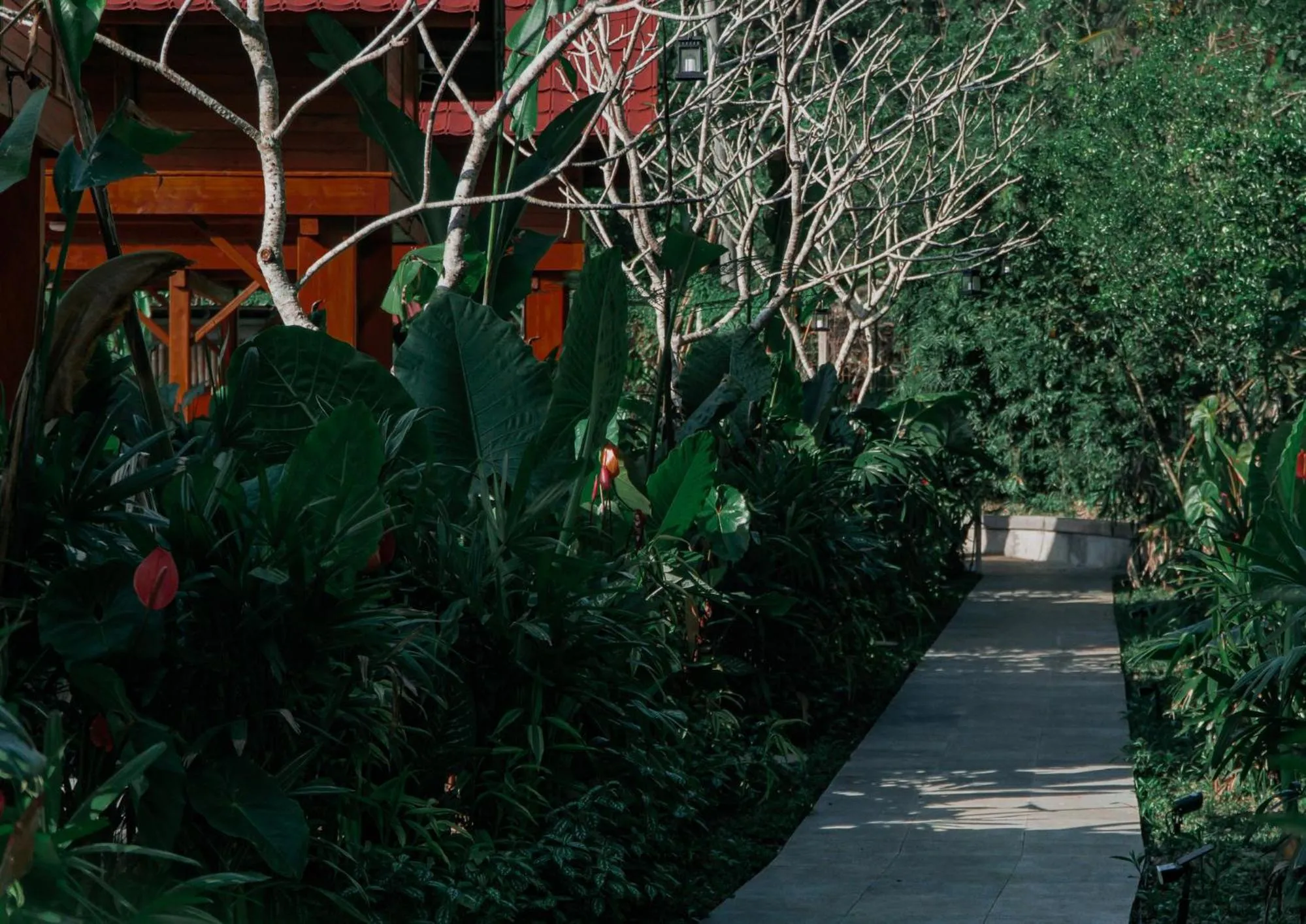 Garden in Kusfarm Bali by AHM