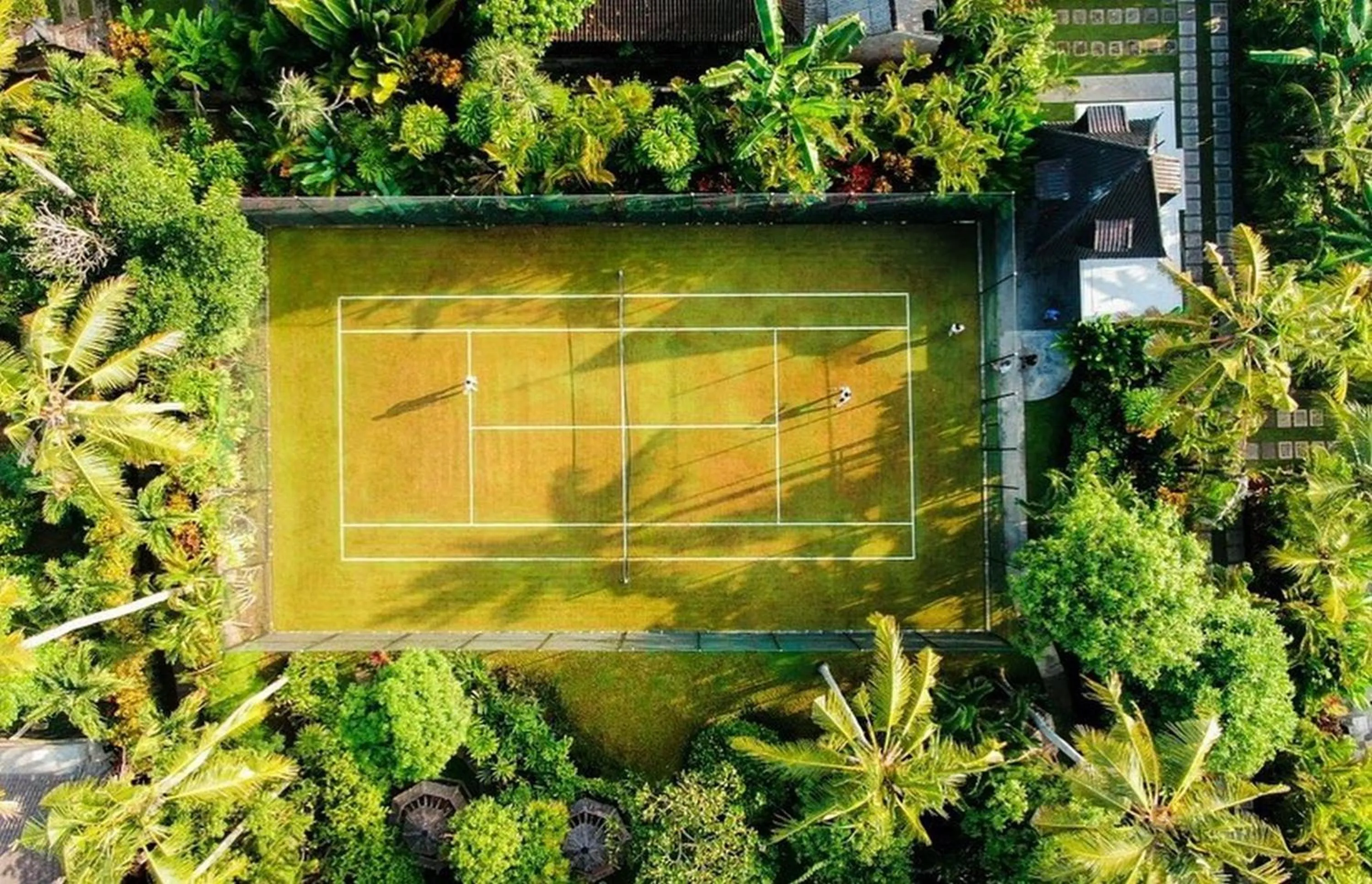 Day in Swan Paradise A Pramana Experience