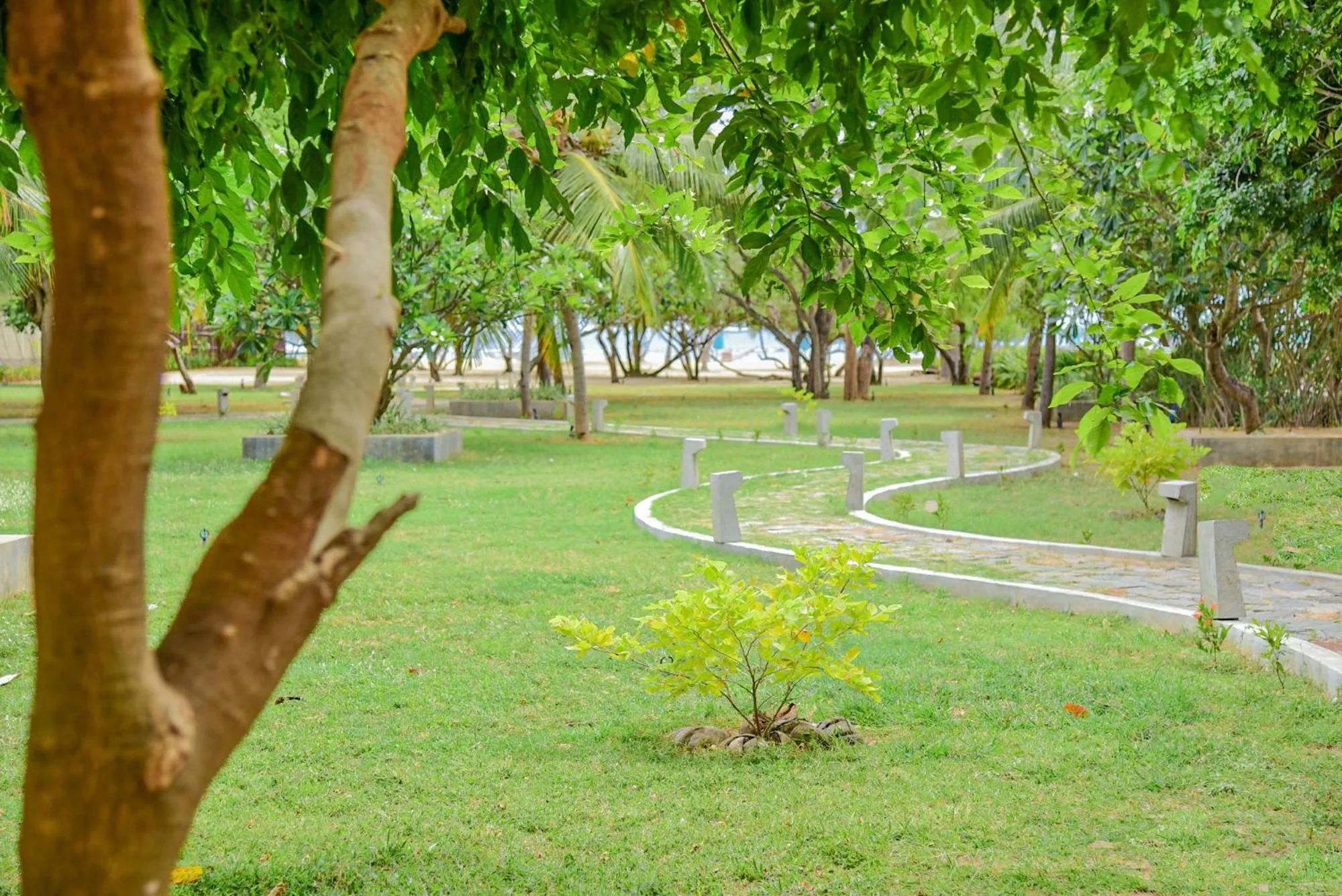 Garden in Breeze Pasikudah