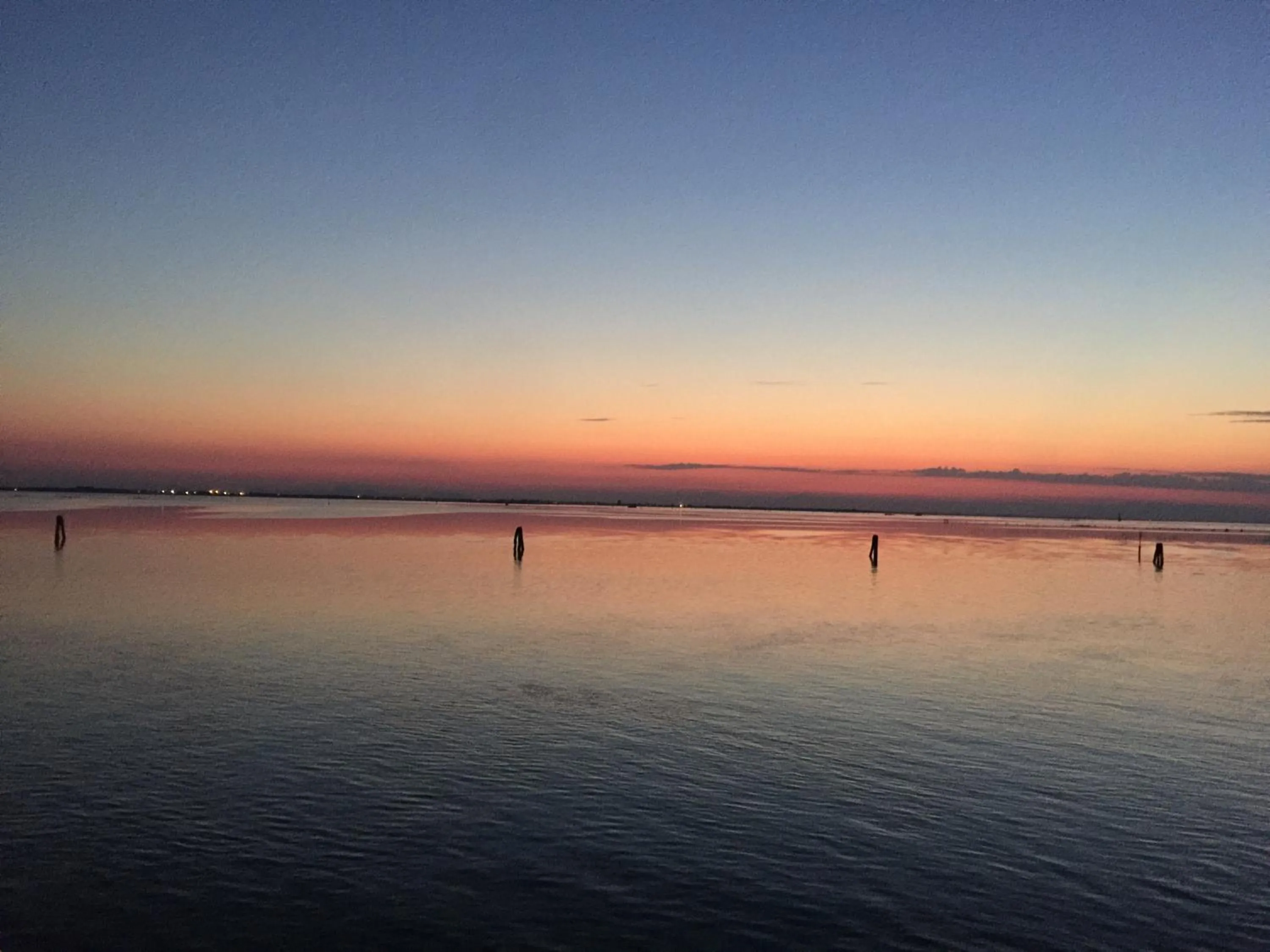 Natural landscape in Hotel Bristol