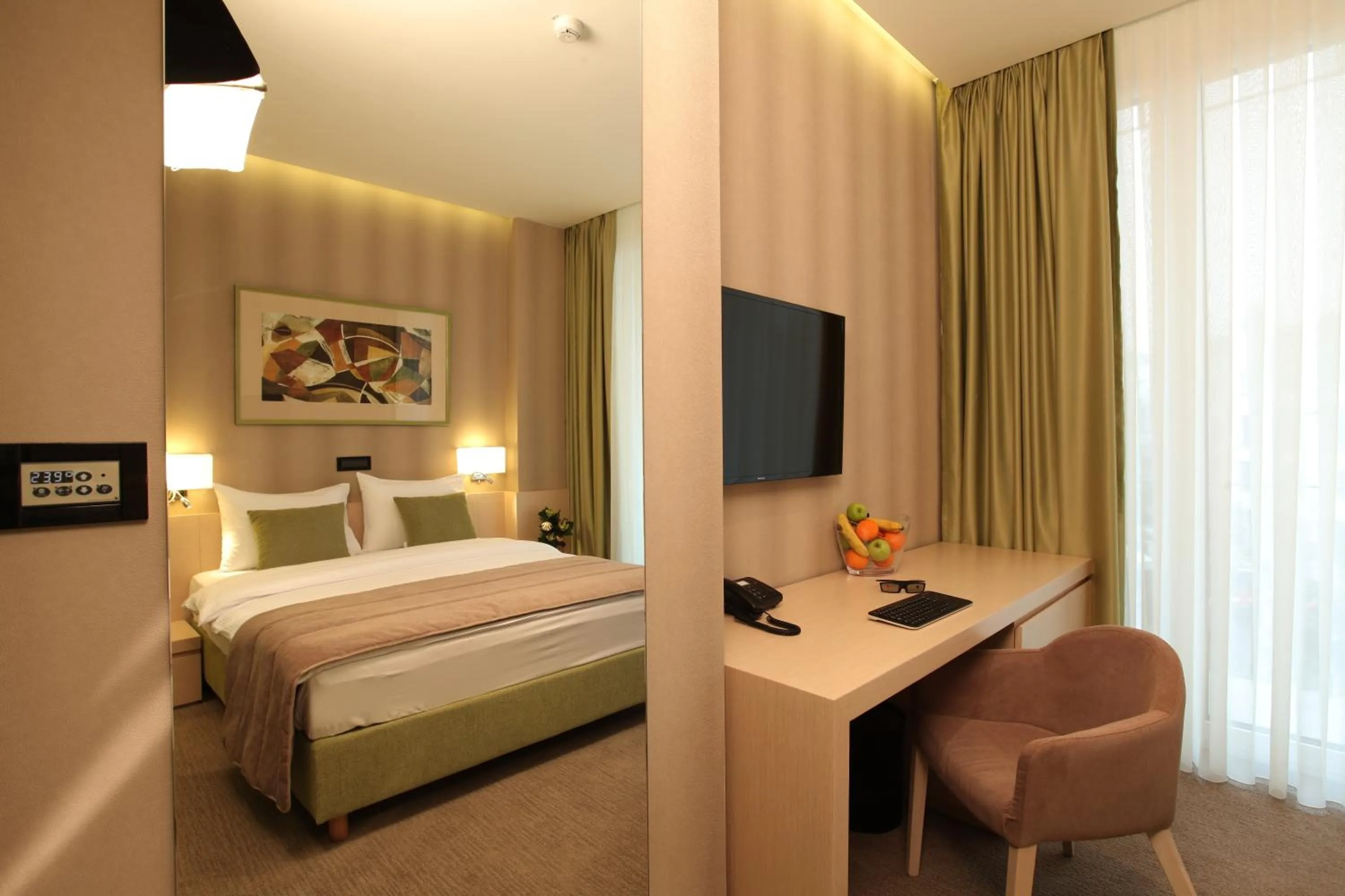 Photo of the whole room in Hotel Argo