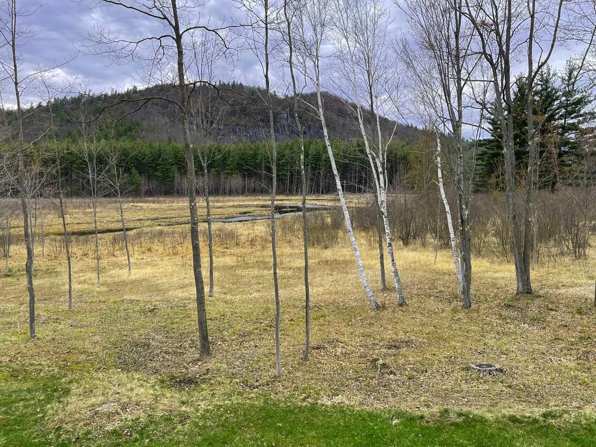 Mountain view in High Peaks Chalet