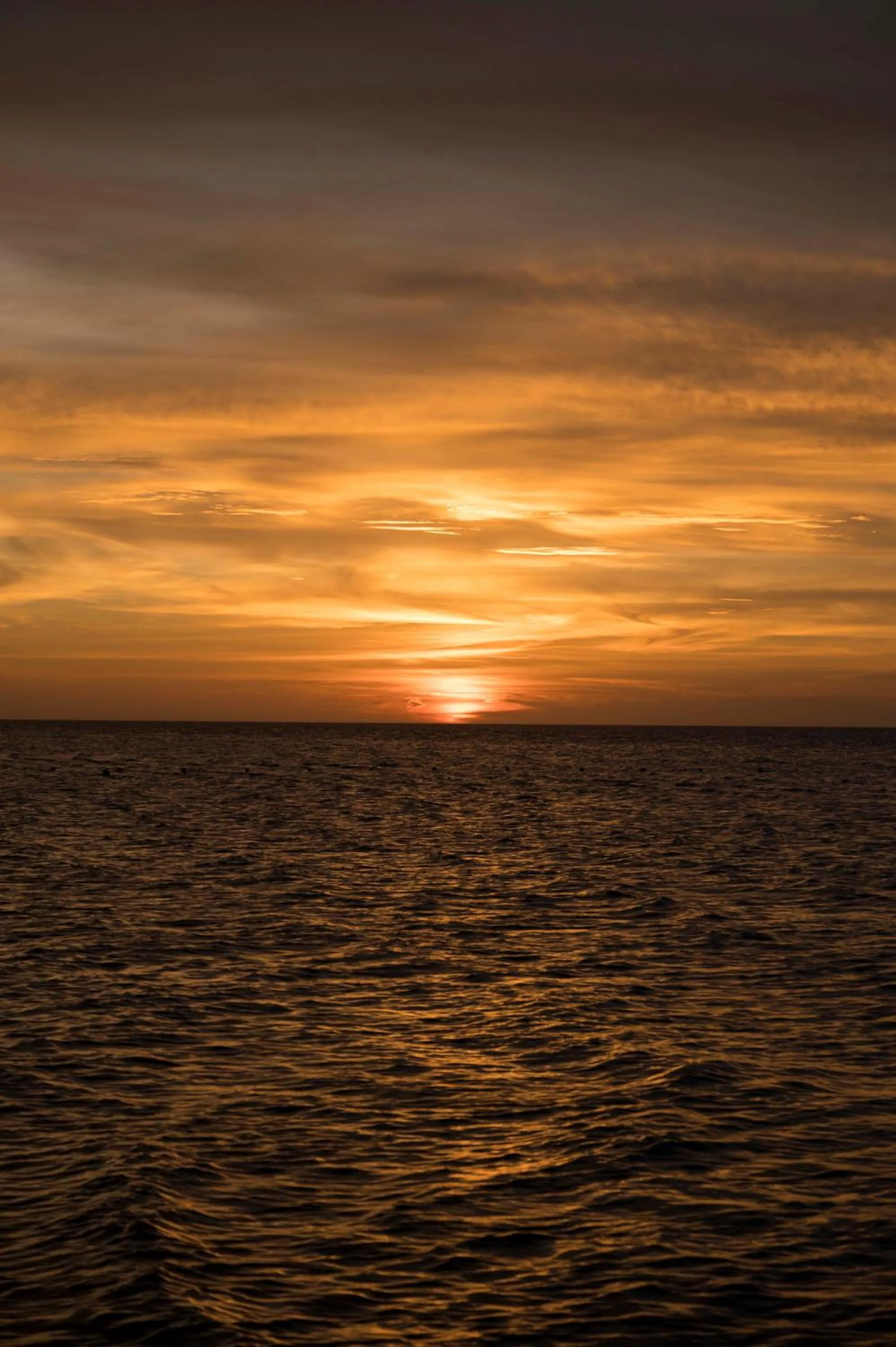 Casa Ku Hotel - Adults Only