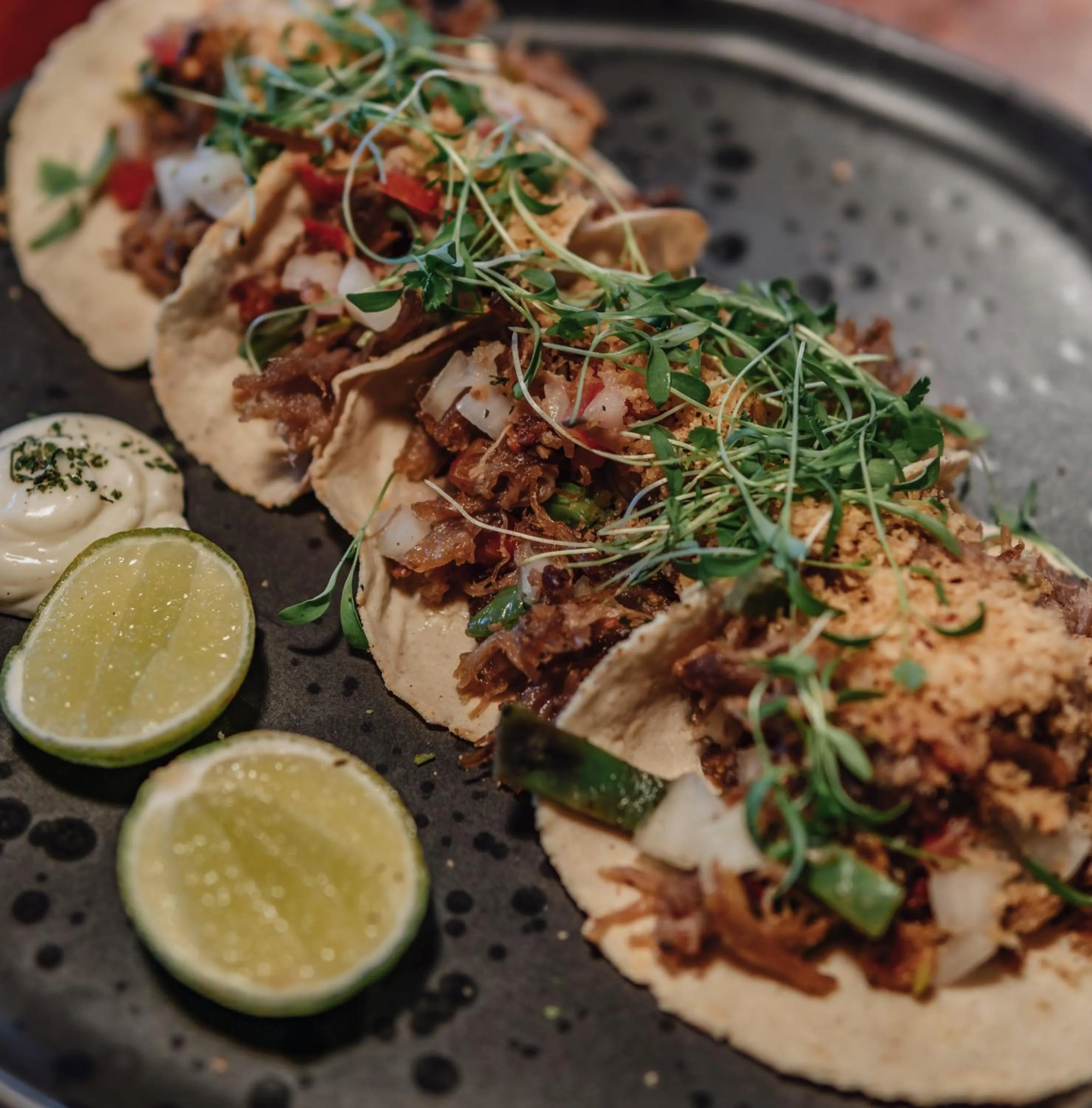 Casa Ku Hotel - Adults Only