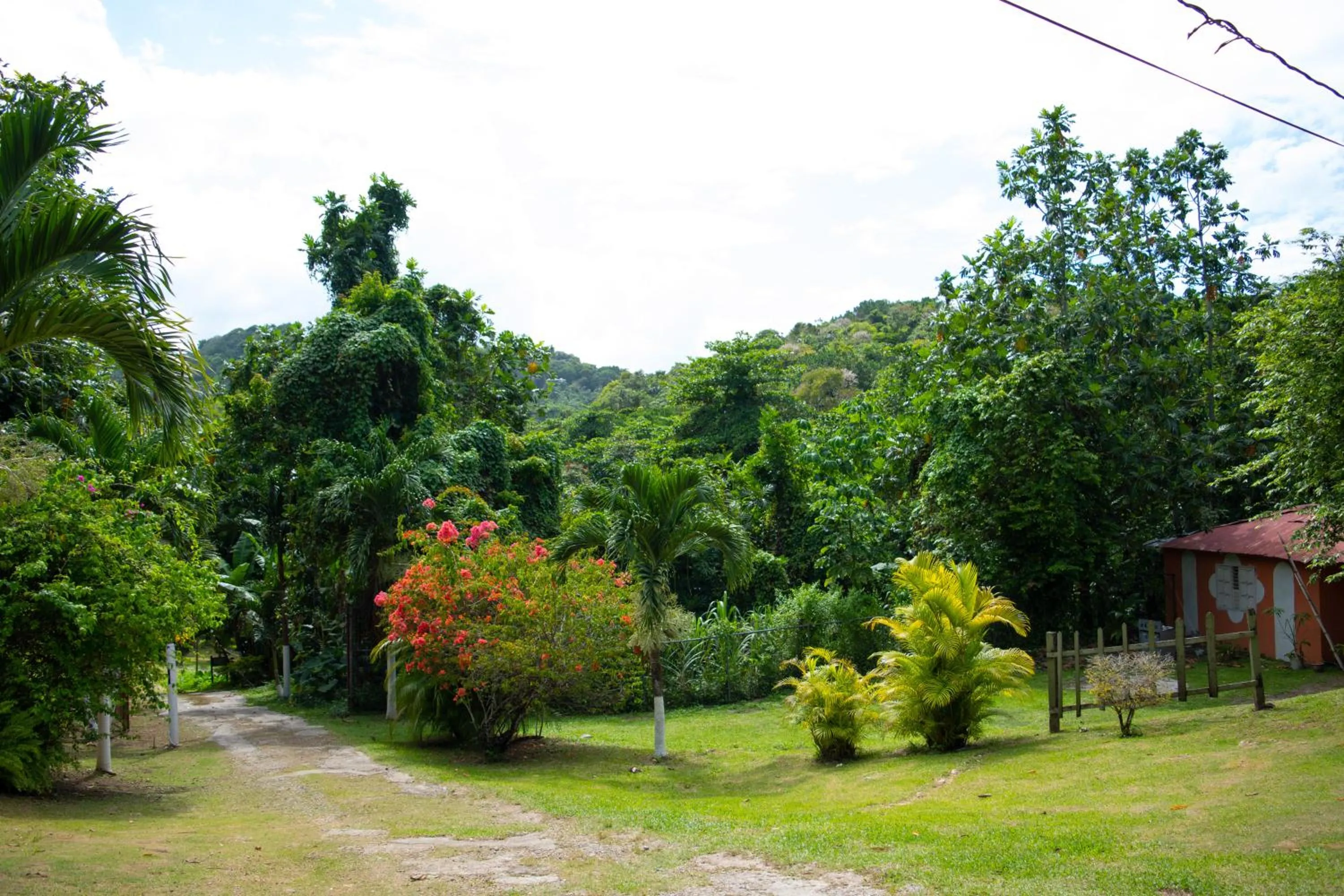 Garden in Sinopia Inn