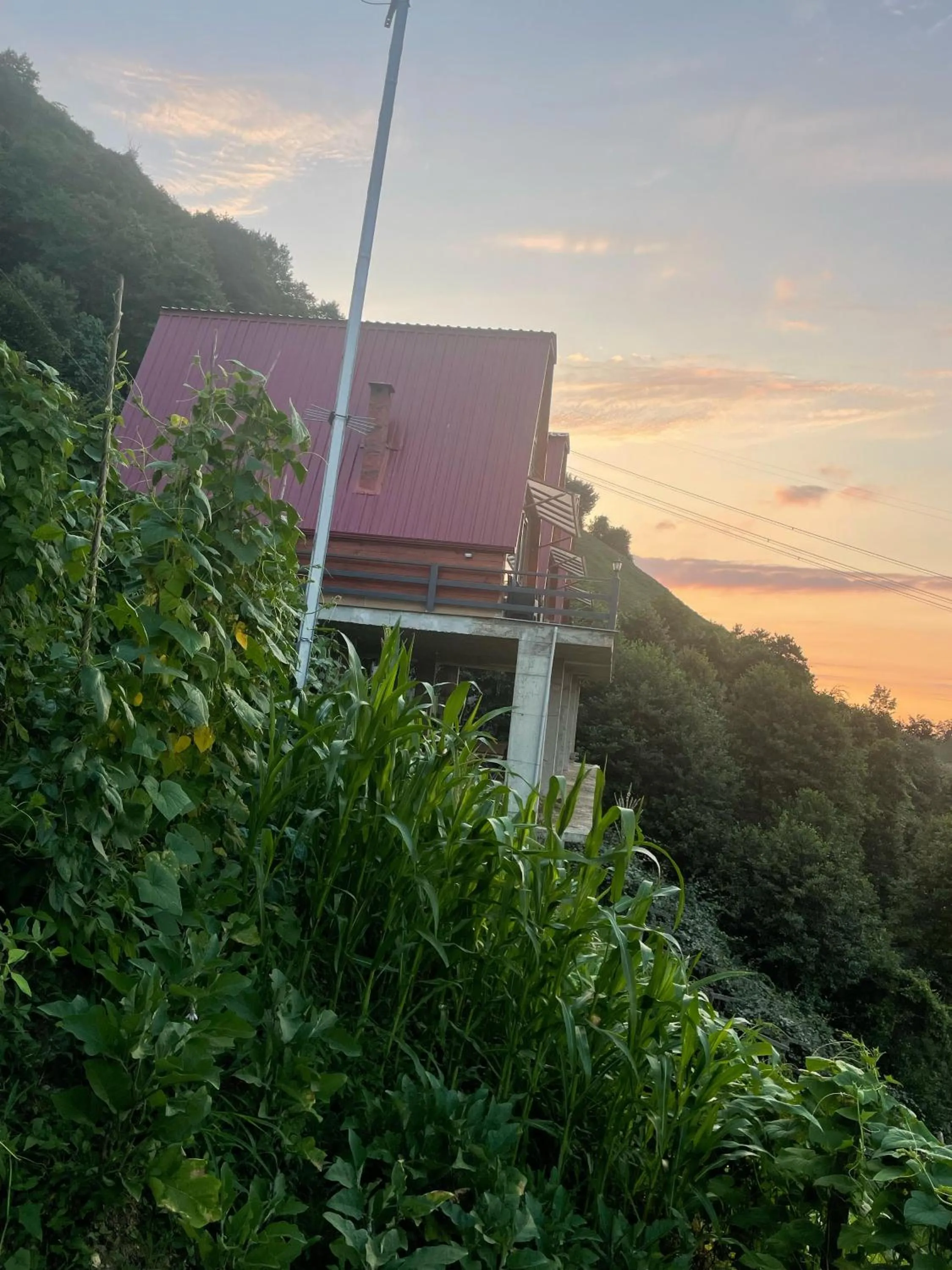 Property building in Dağderebungalow