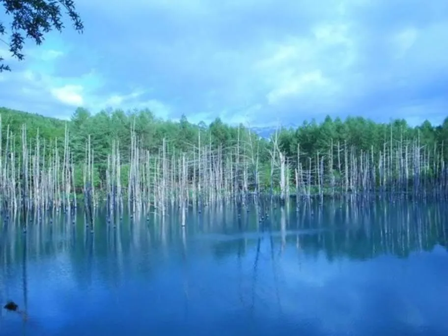 Nearby landmark in DOWNTOWN　TOKO11