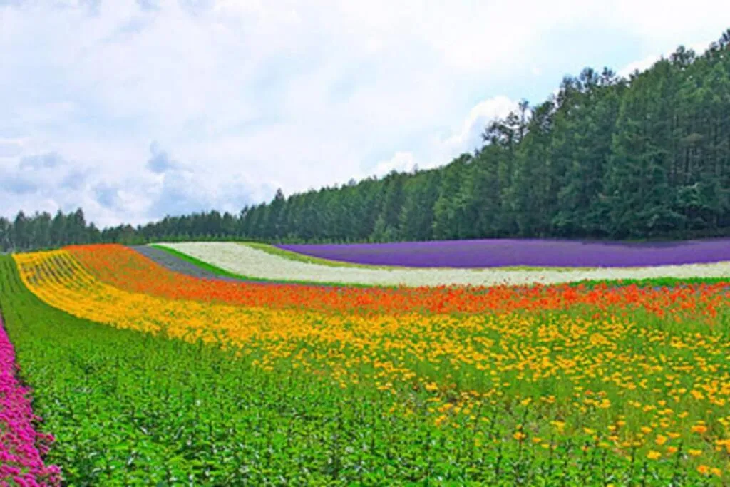 Nearby landmark in DOWNTOWN　TOKO11