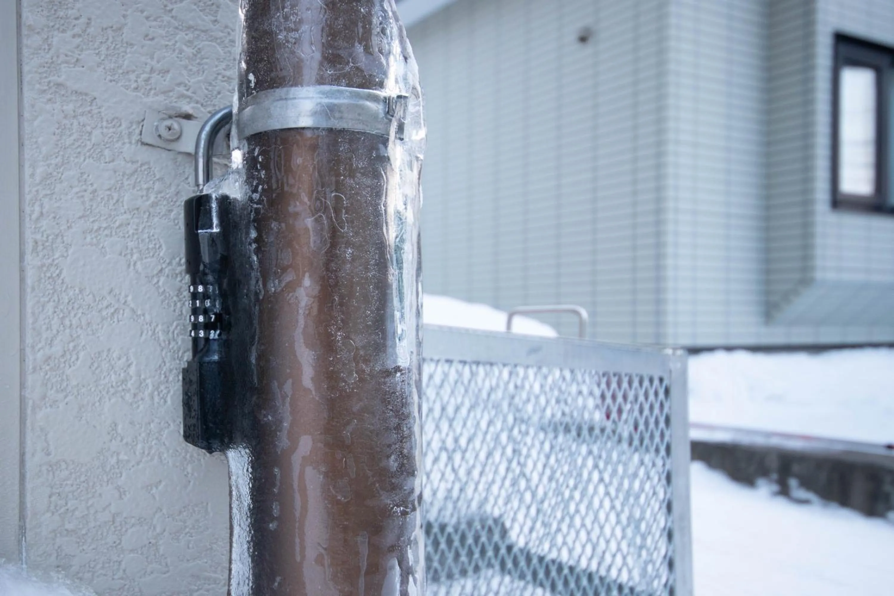 Winter in DOWNTOWN　TOKO11